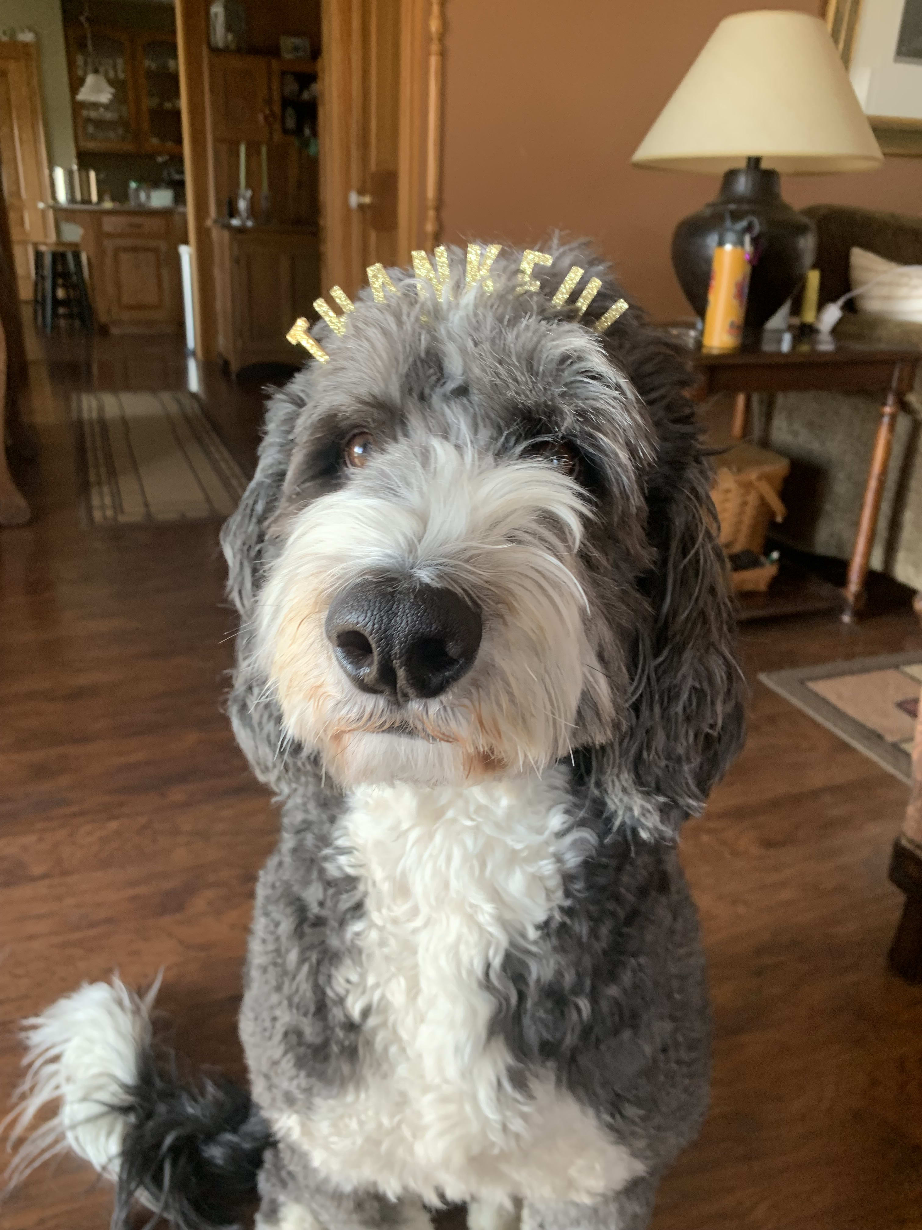 Max