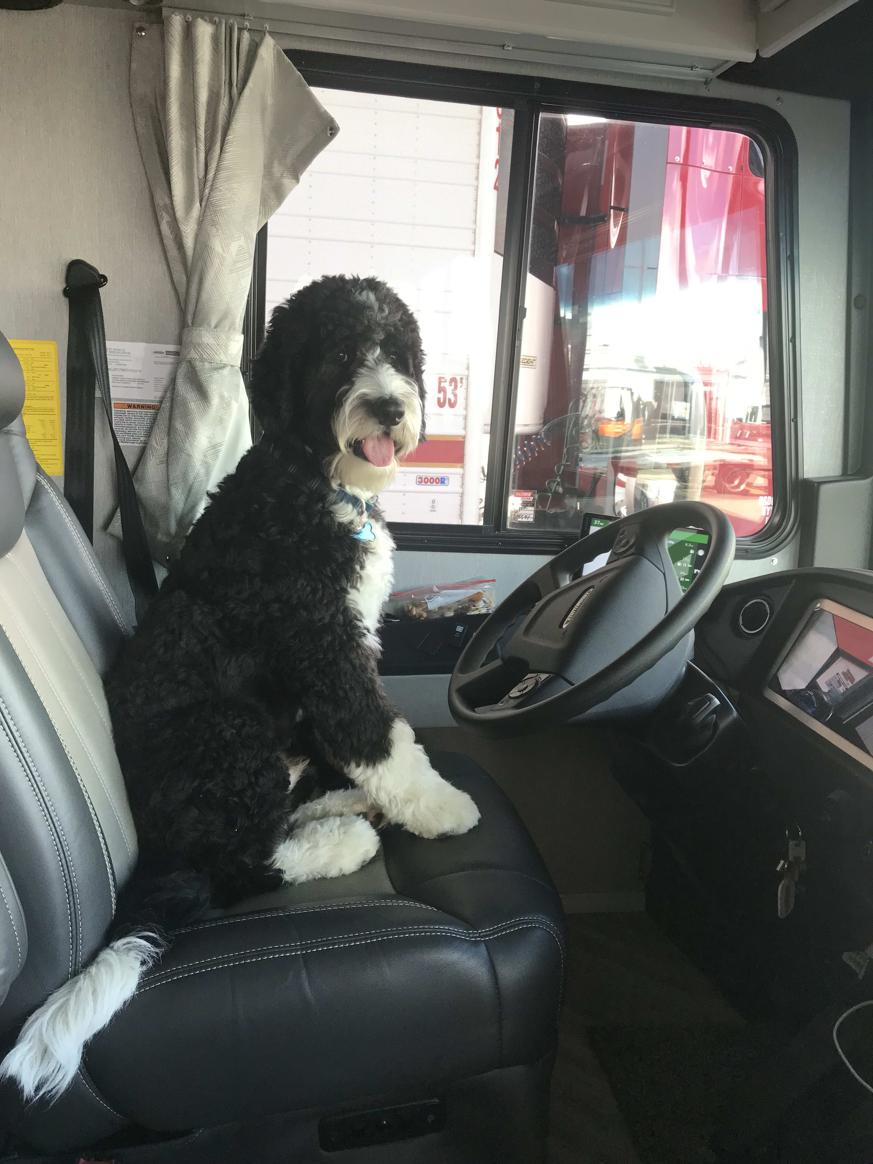 Max