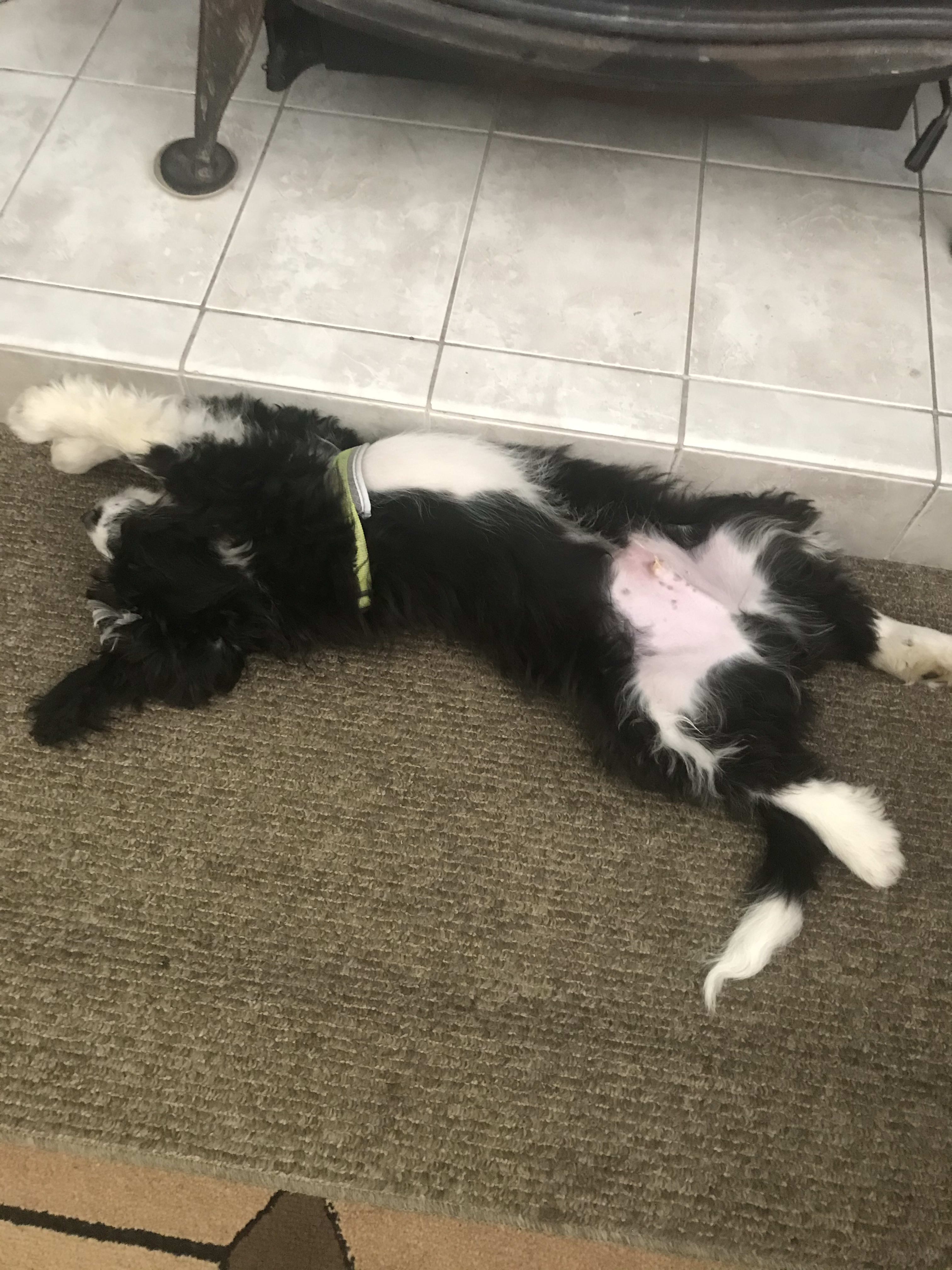 Max