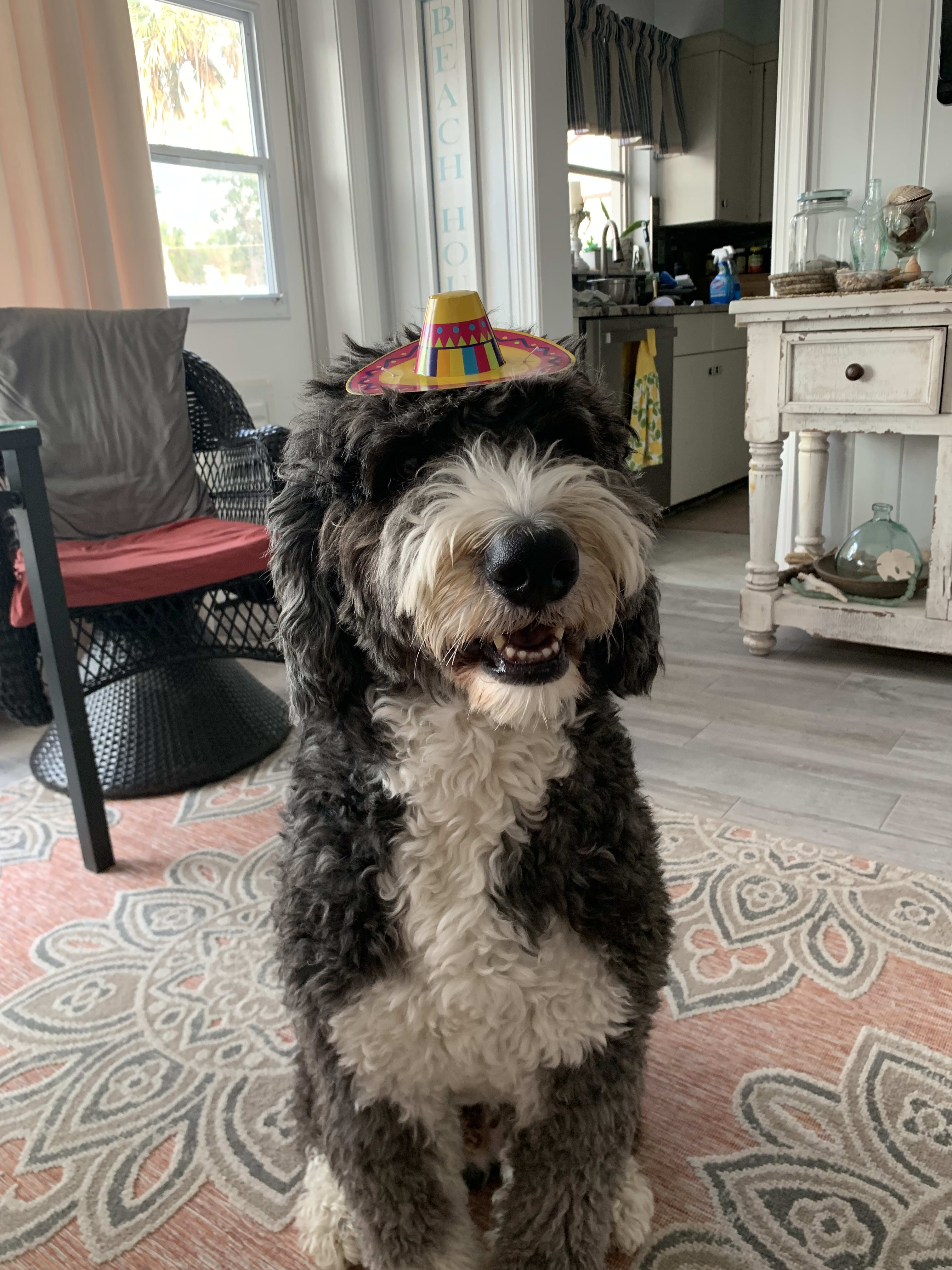 Max