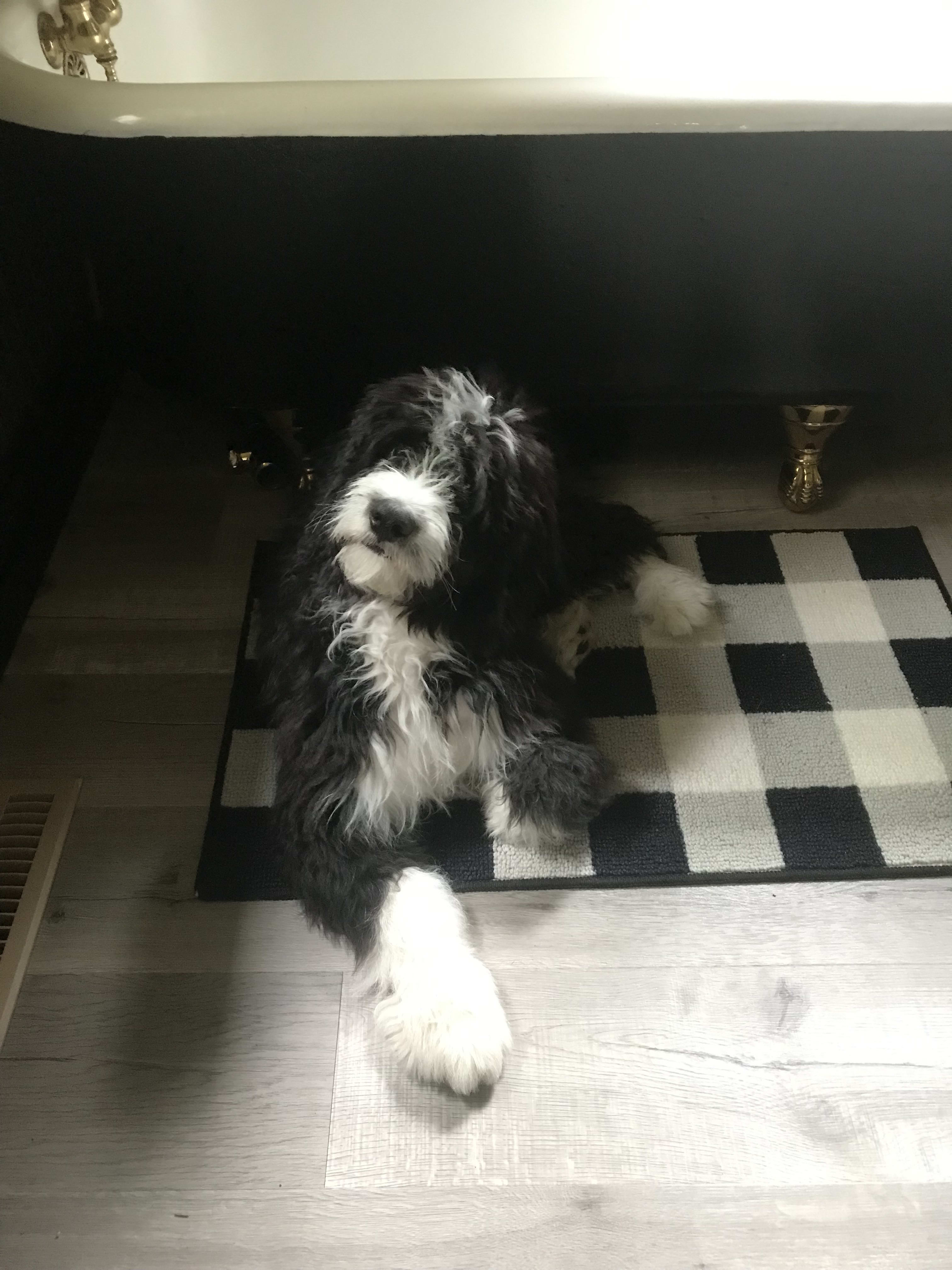 Max