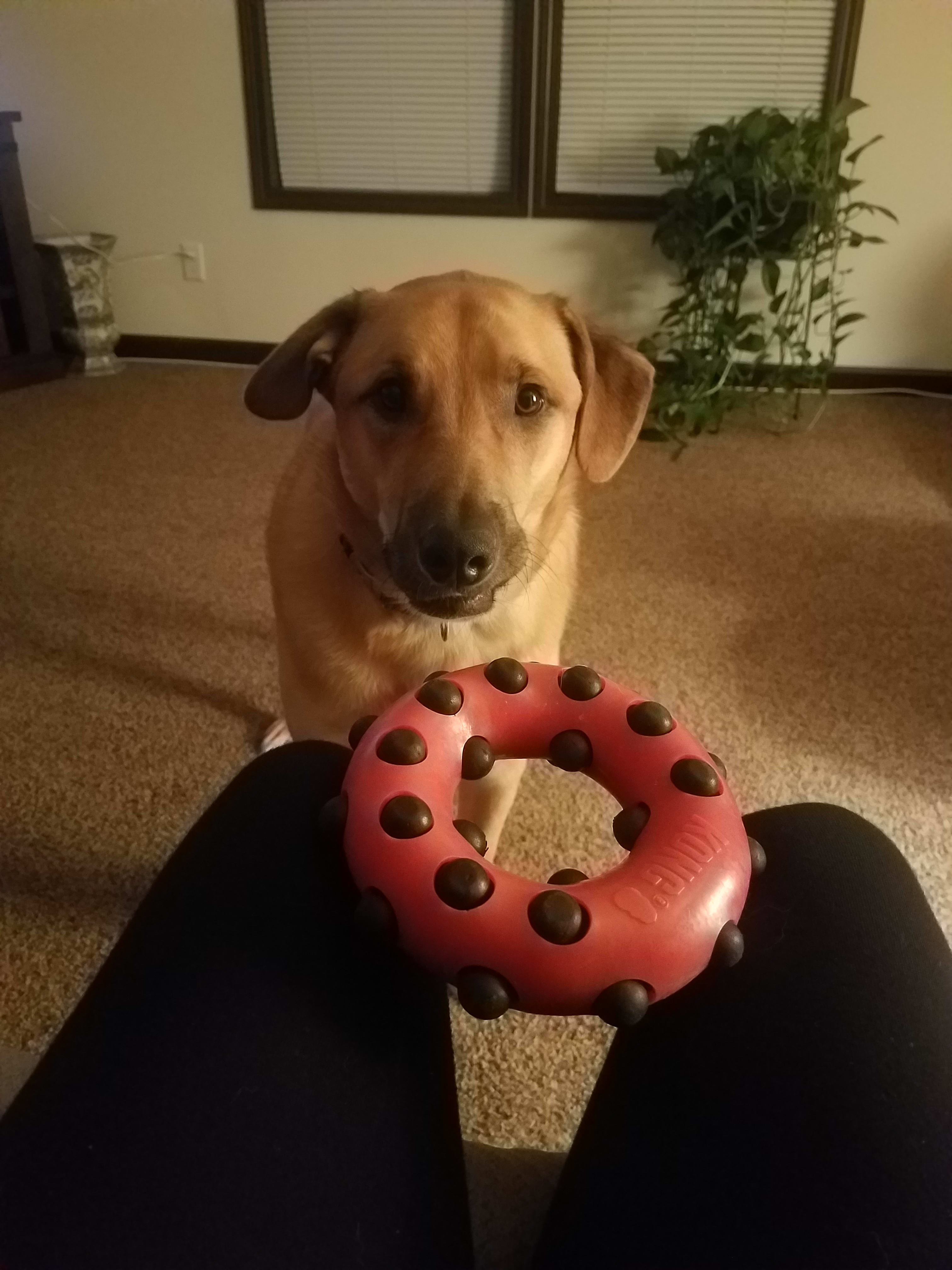 Beau