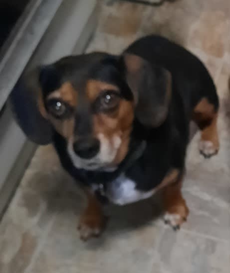 Billy