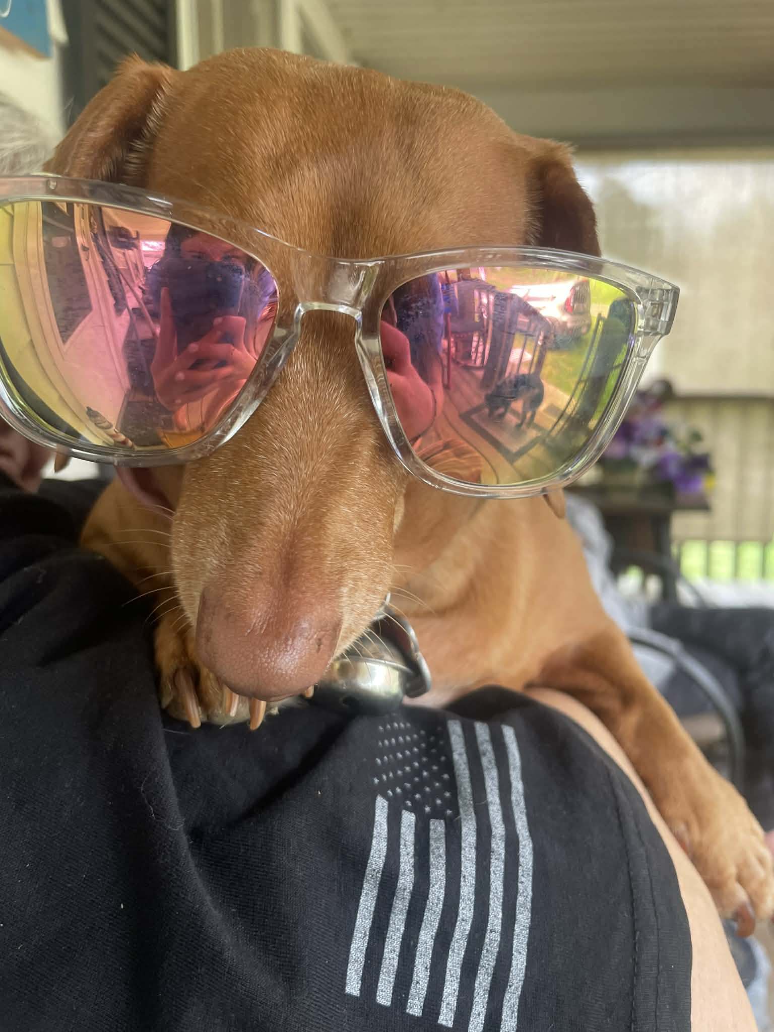 Dolly Mae