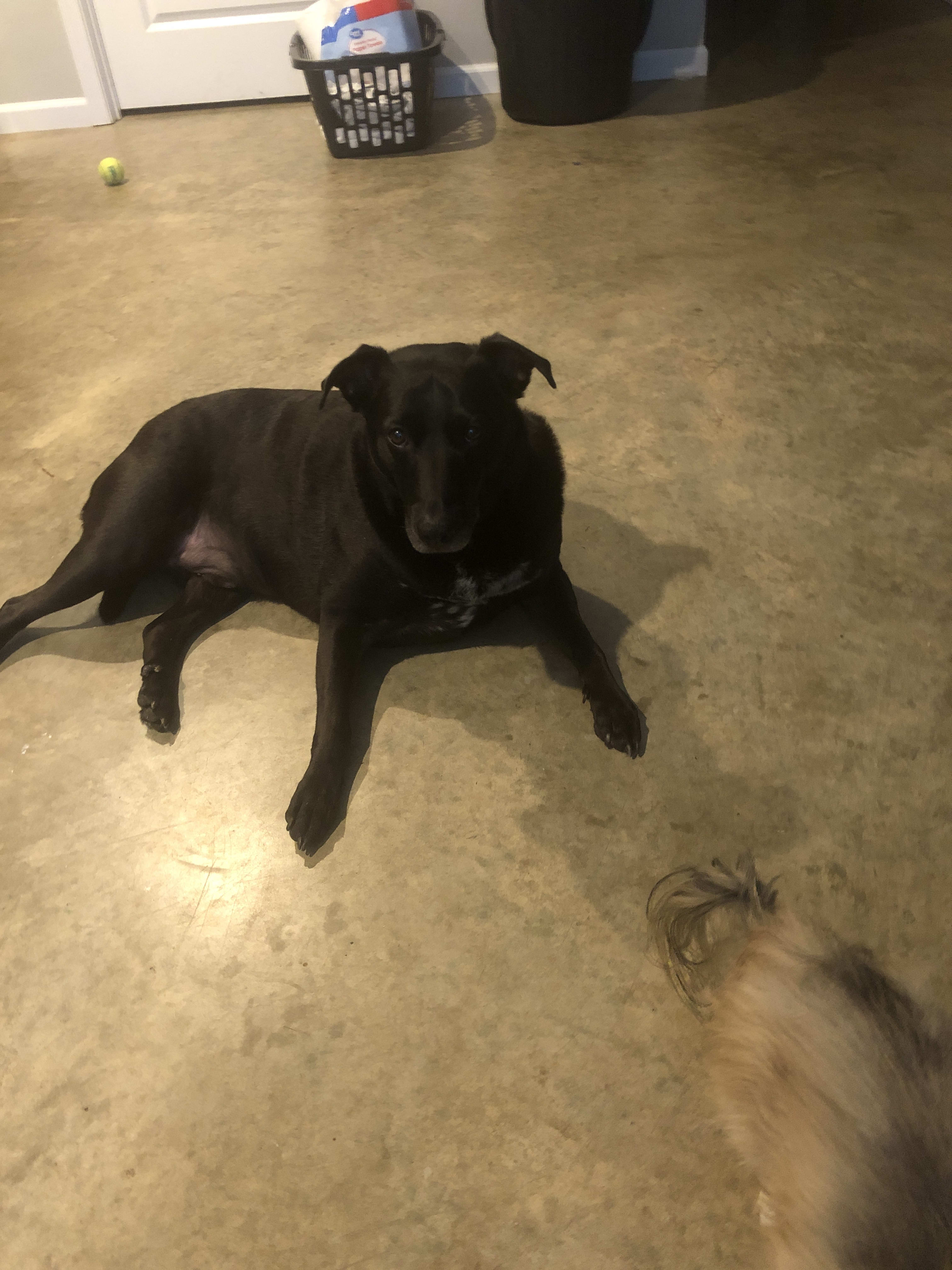 Lex Lex