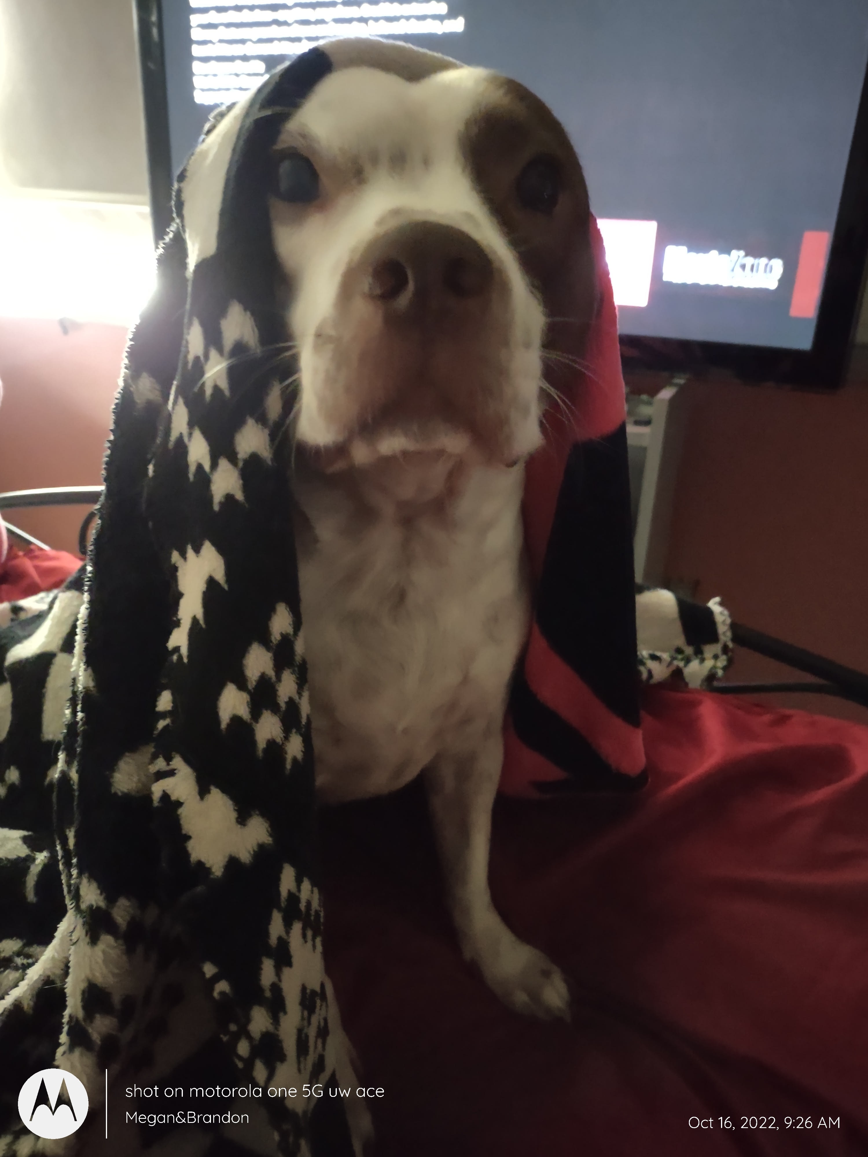 Deebo