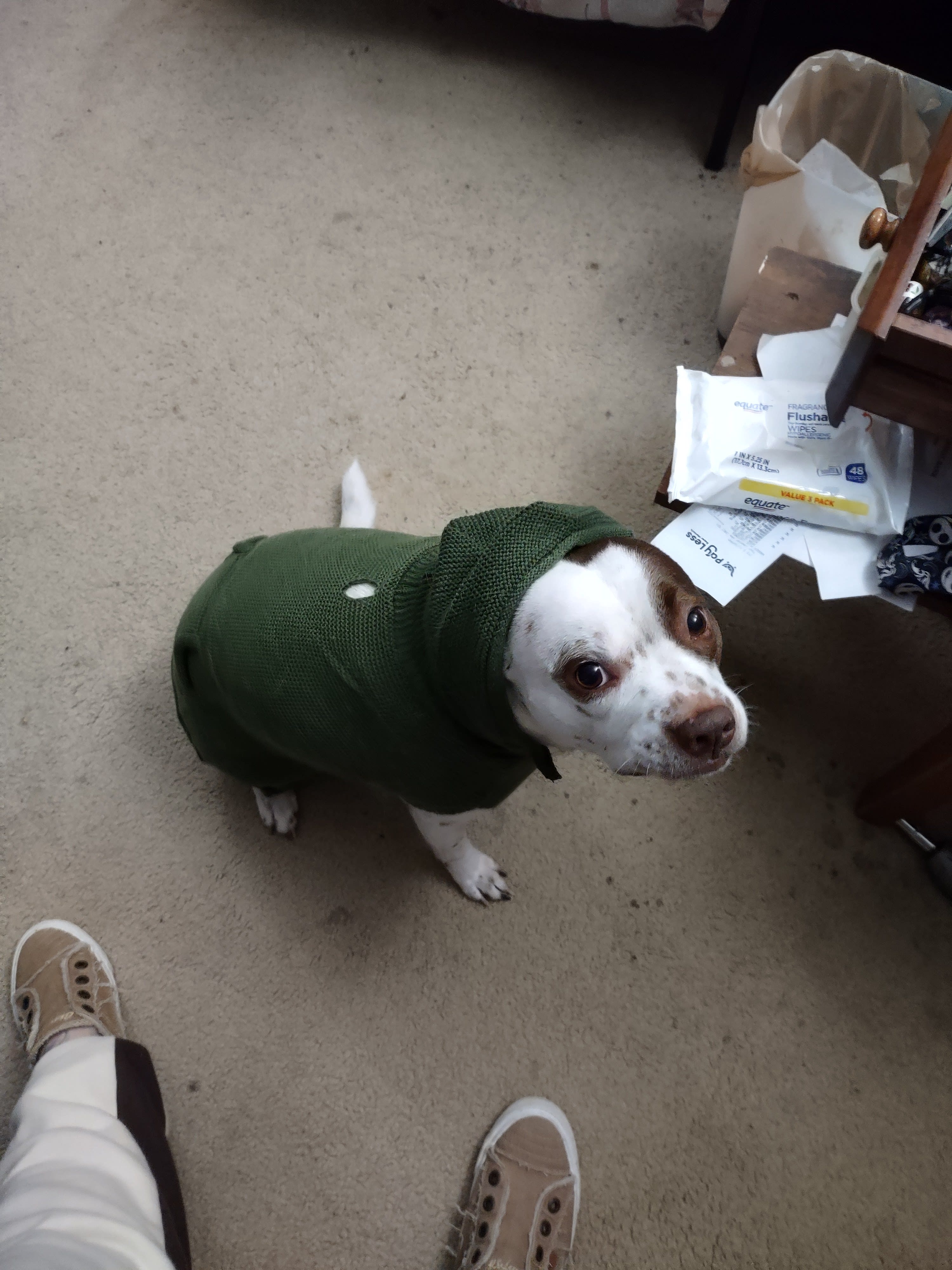 Deebo