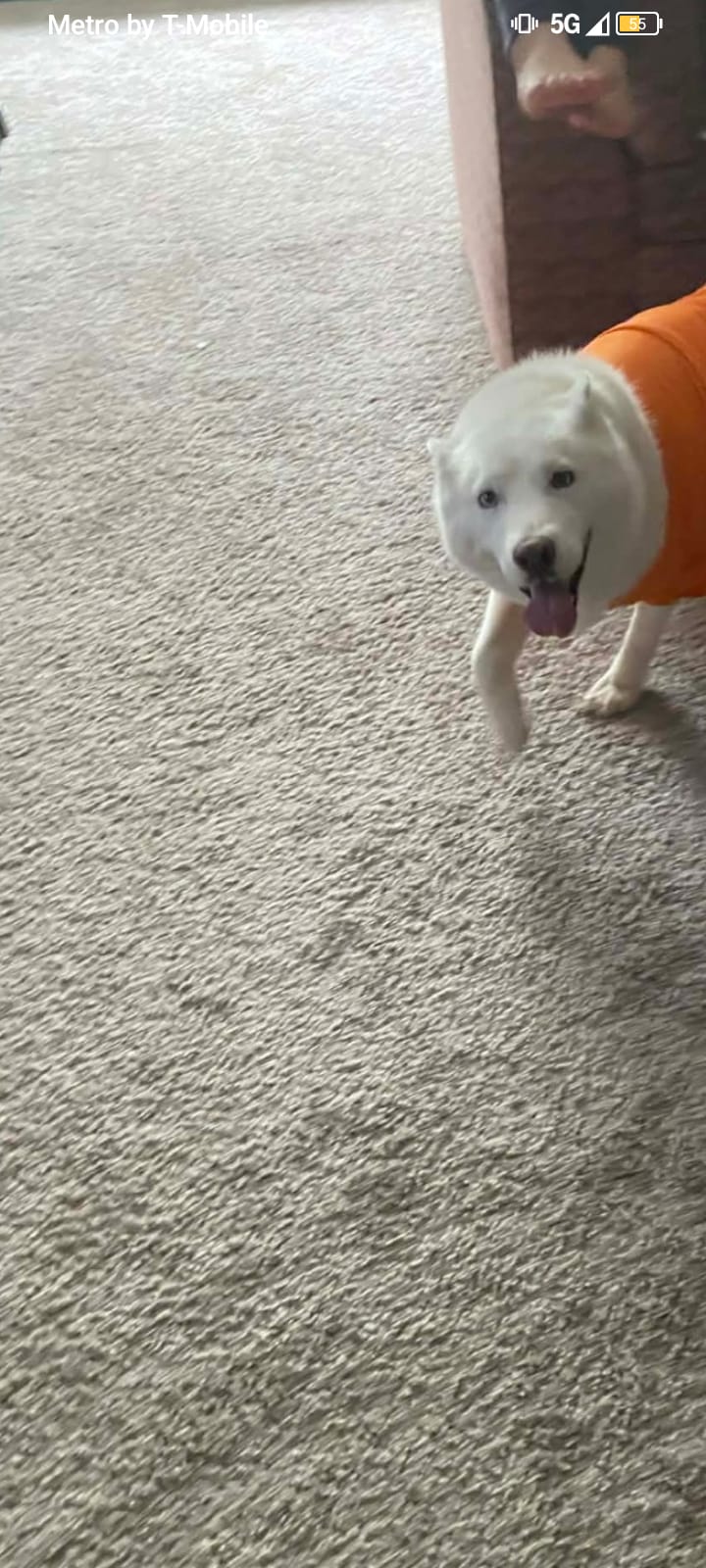 Luna