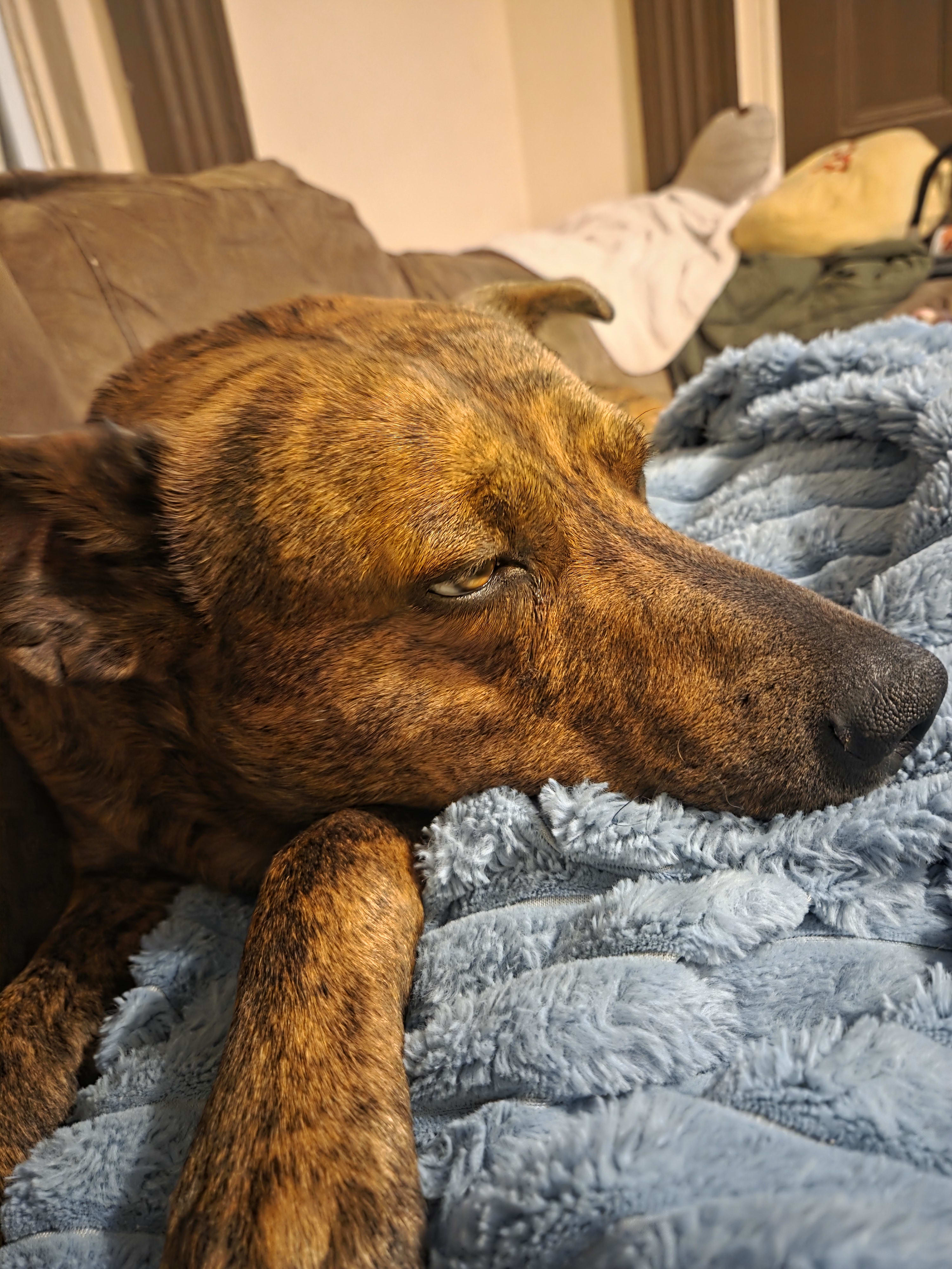 Murphy Murphy