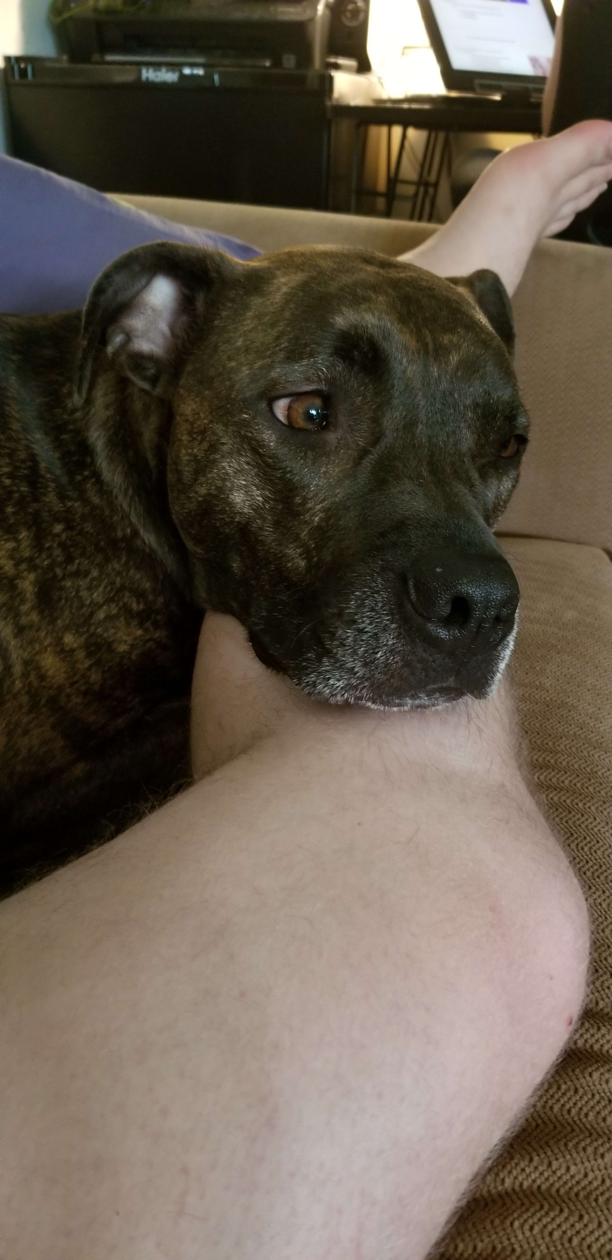 Ellie