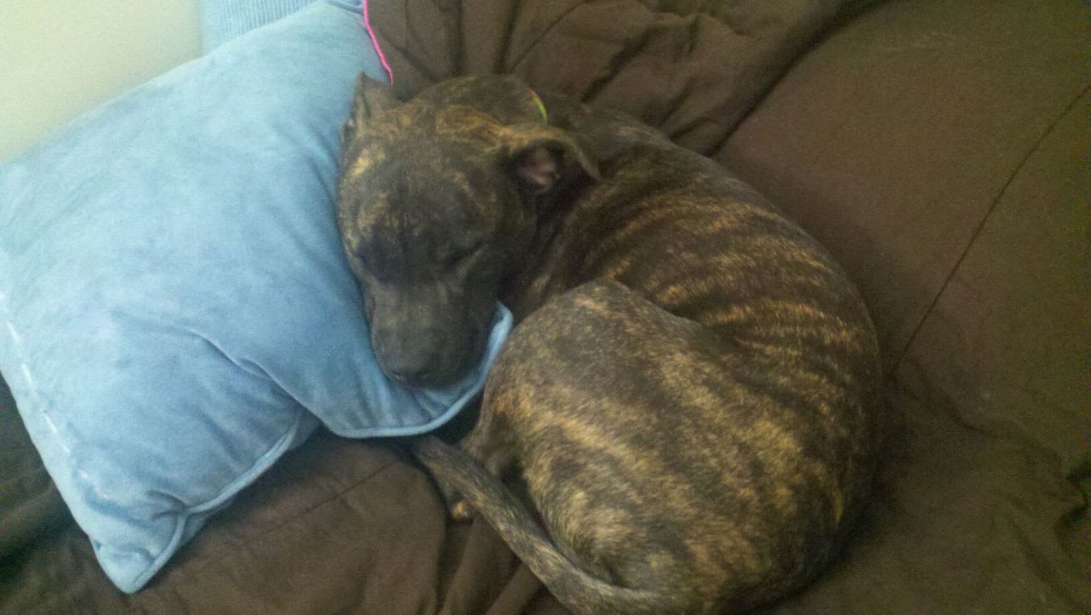 Ellie