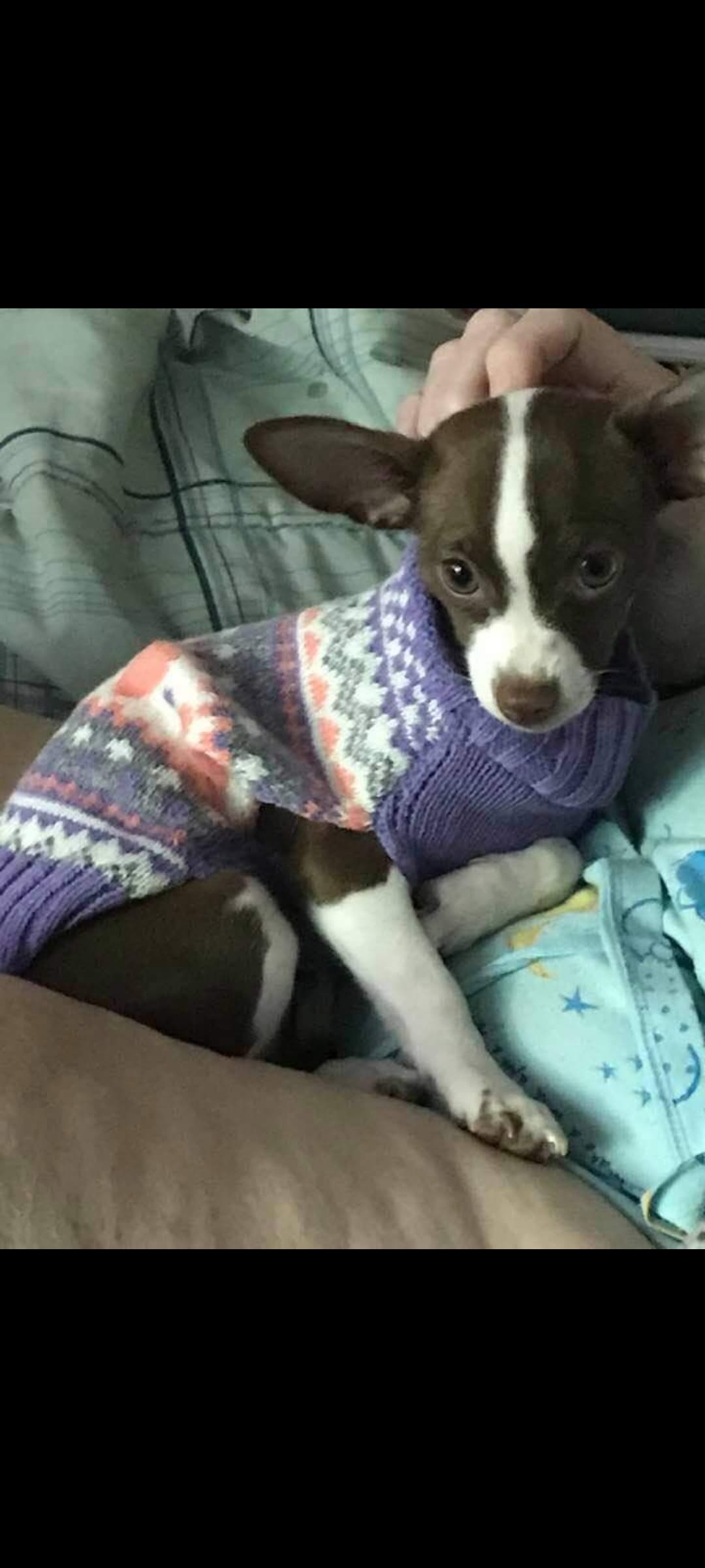 Coco