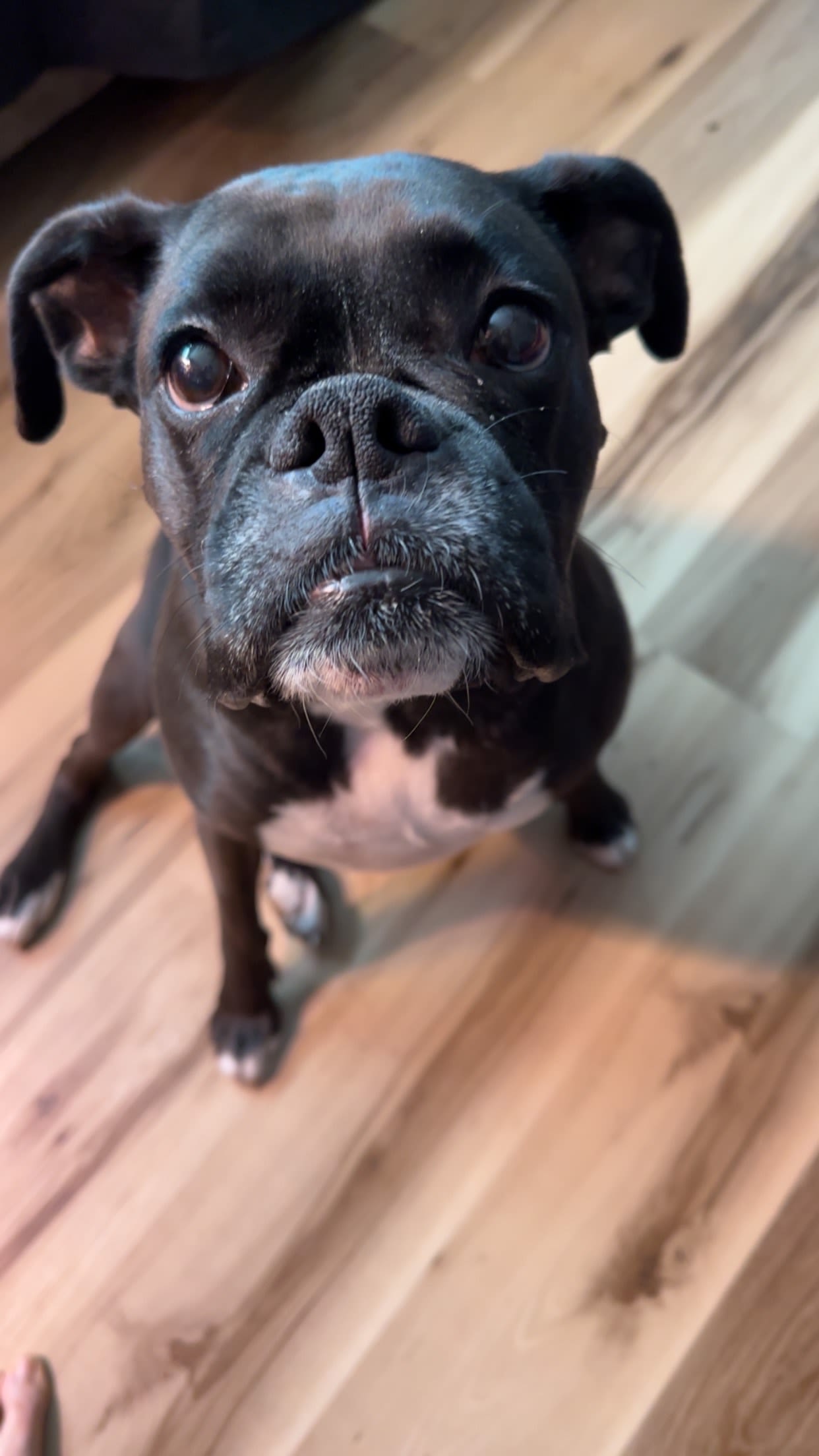 Avery