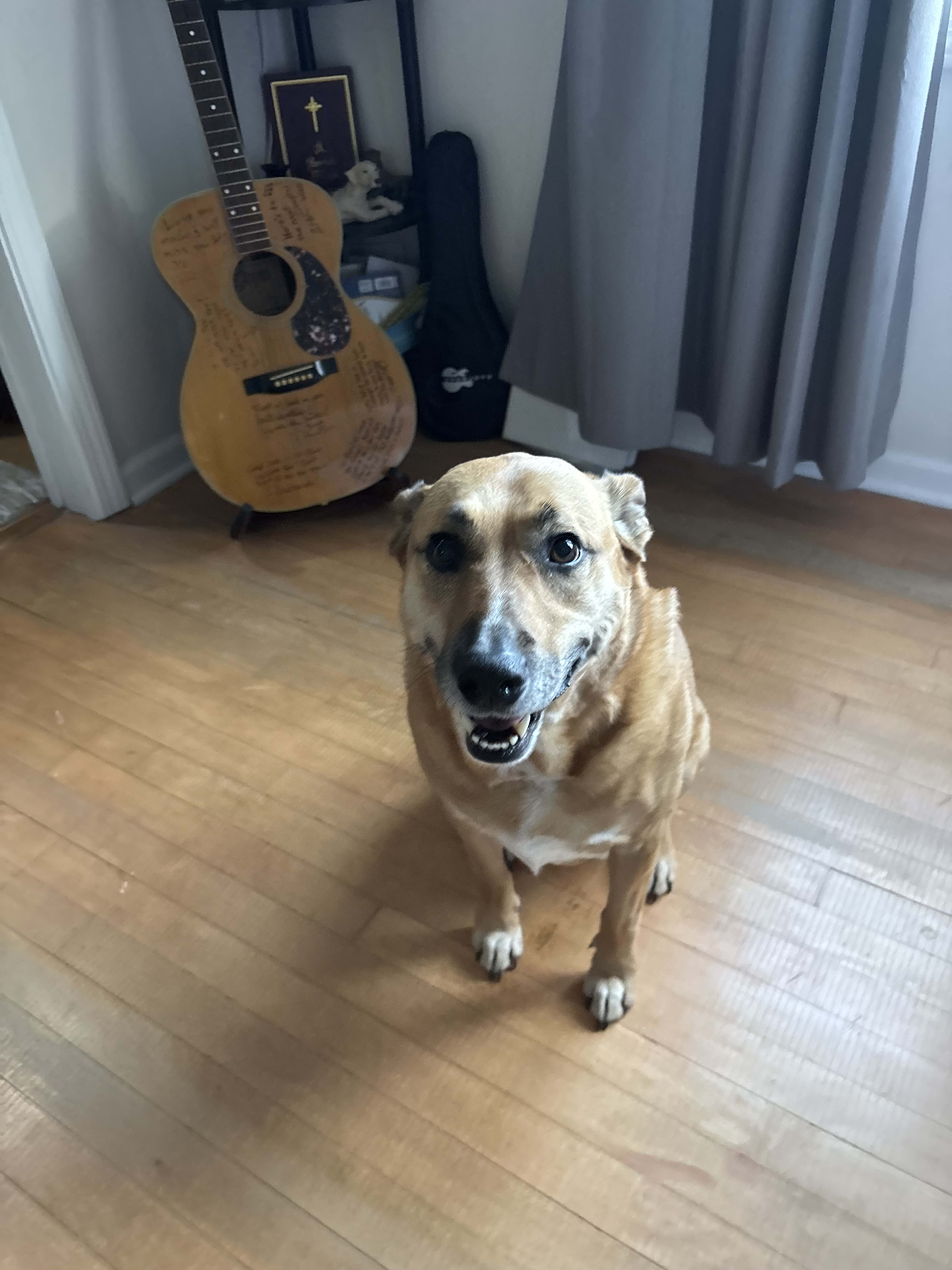 Maggie