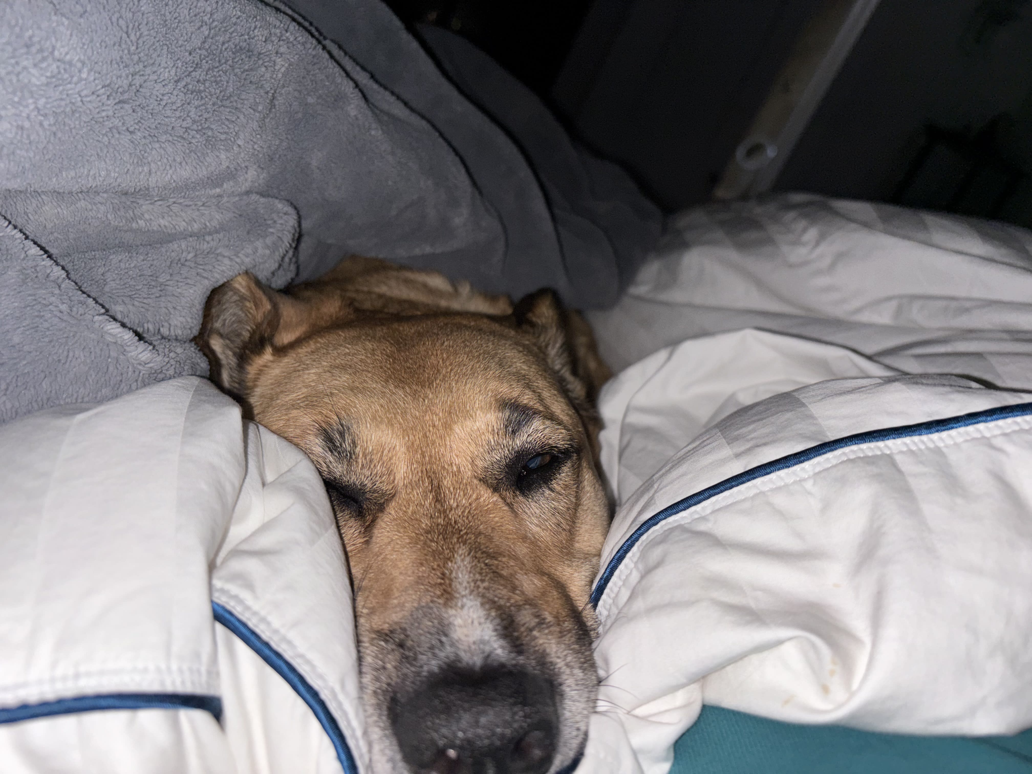 Maggie