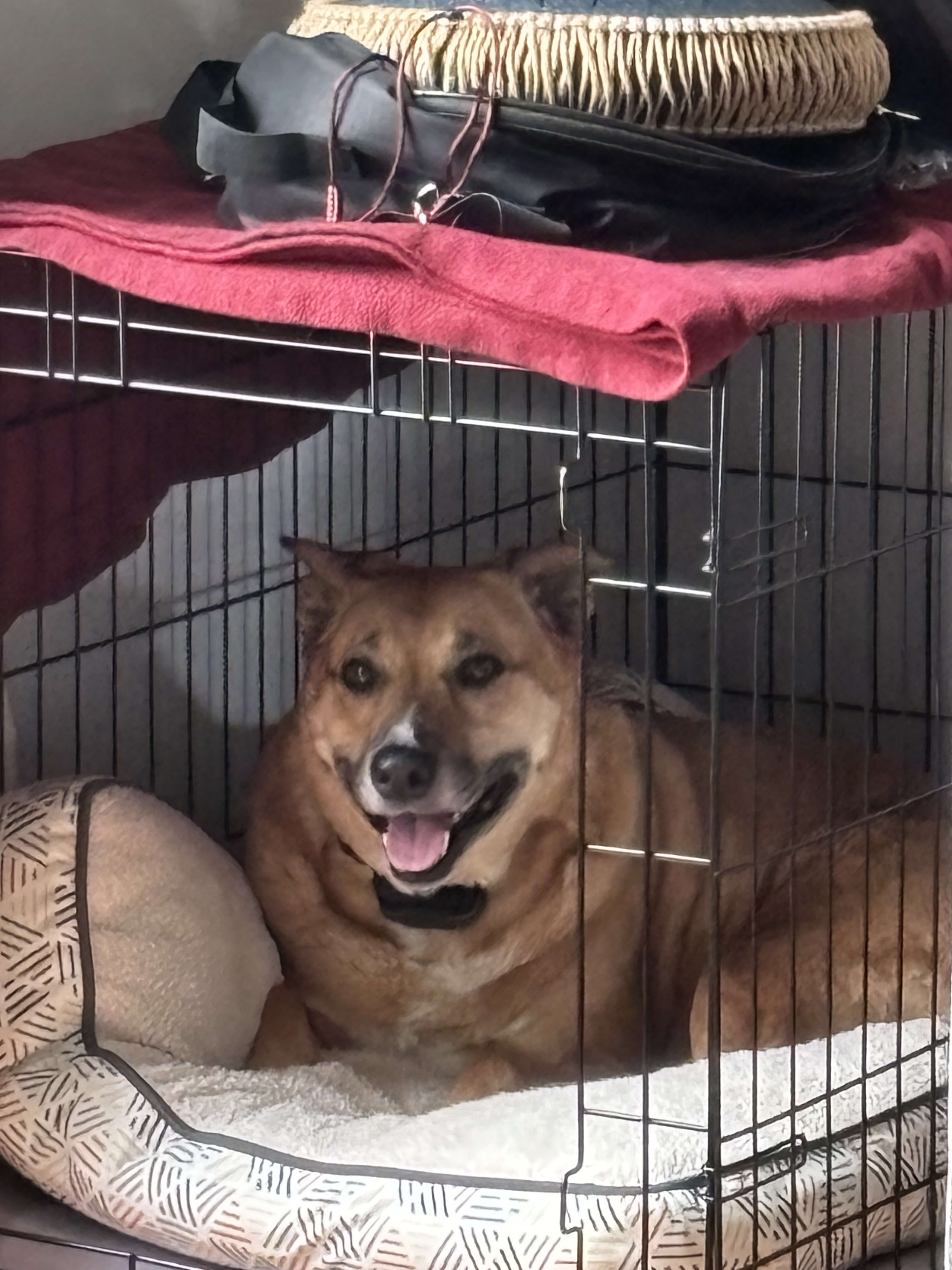 Maggie