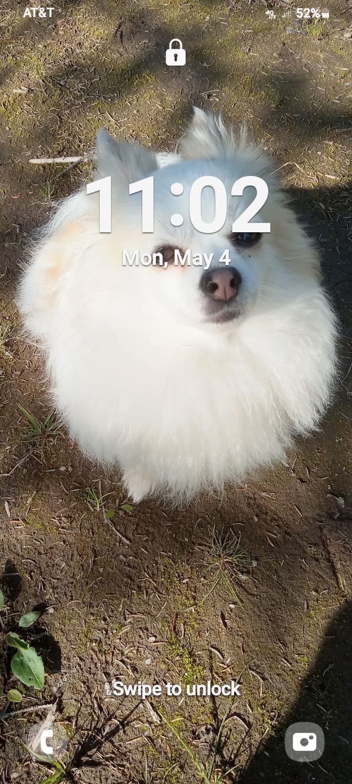 Zena