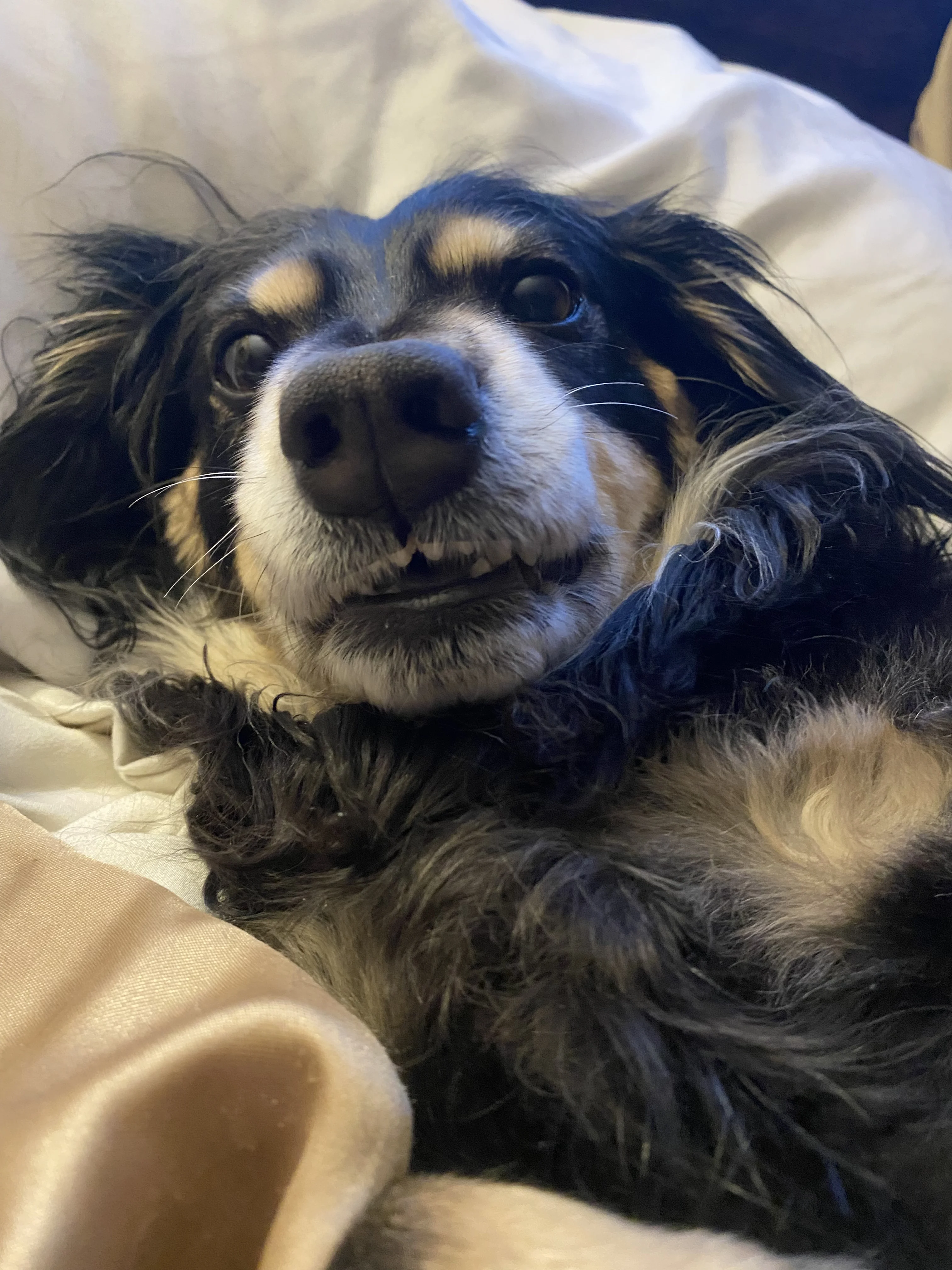Oscar