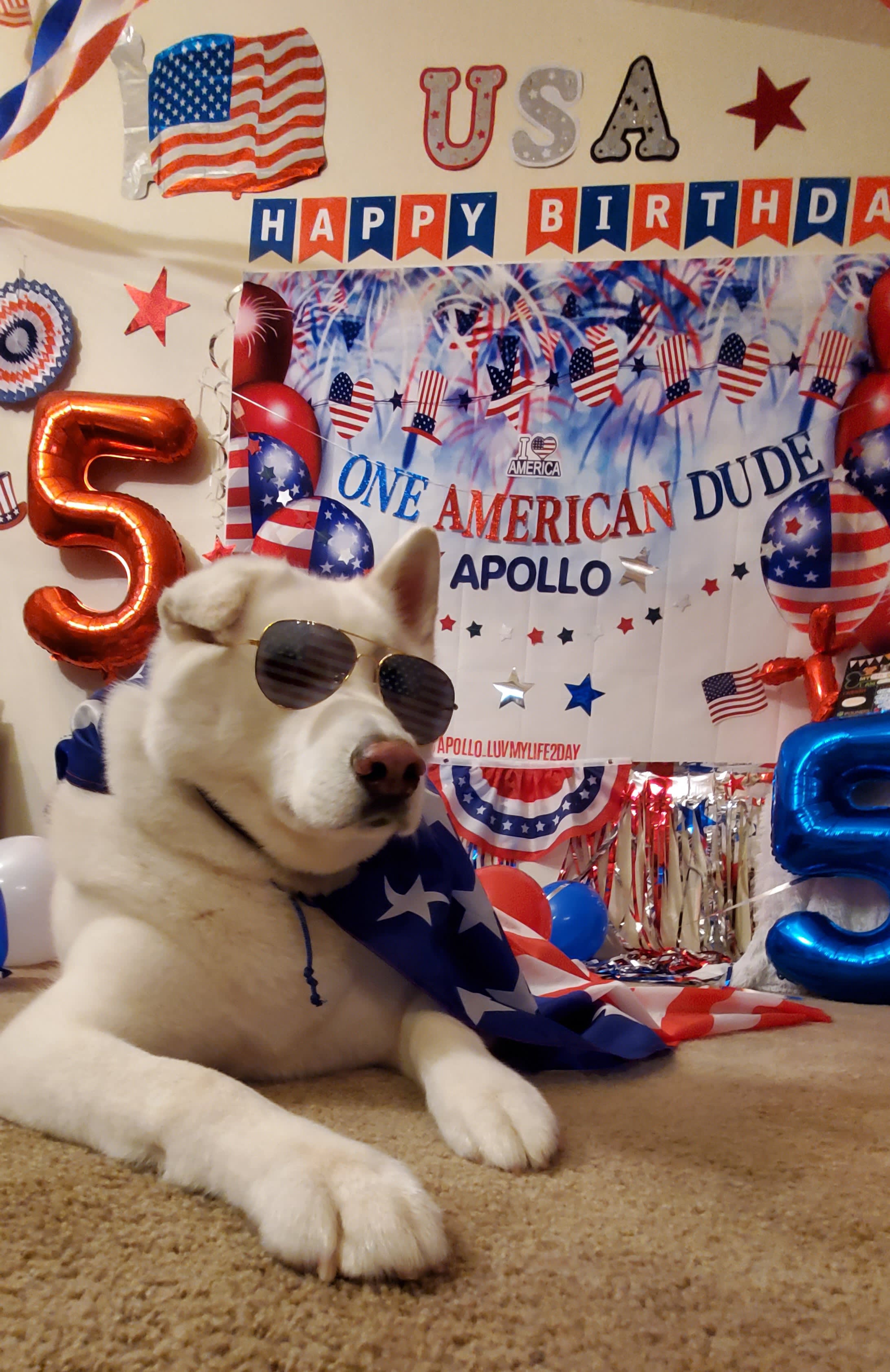 APOLLO