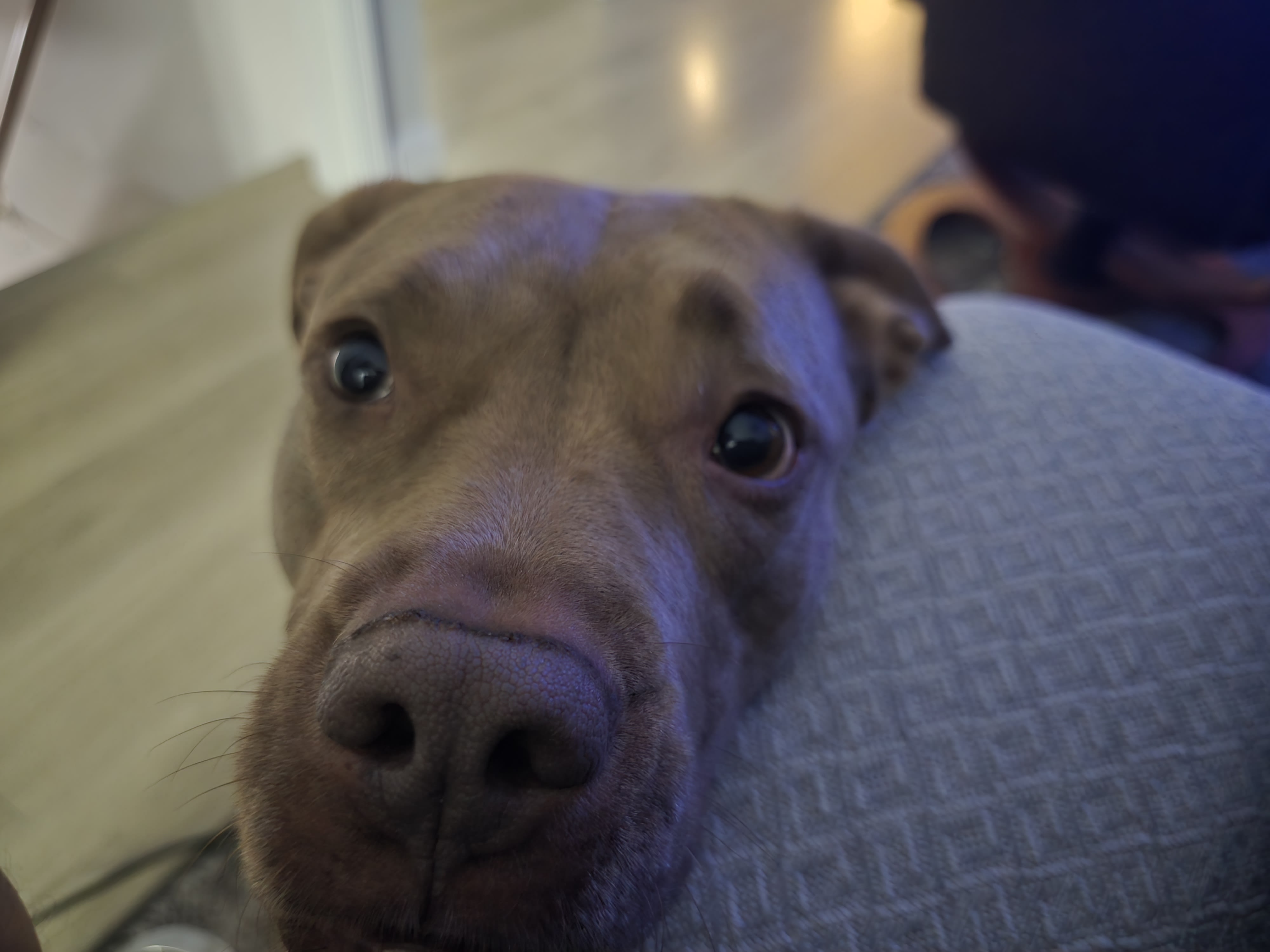 Penny