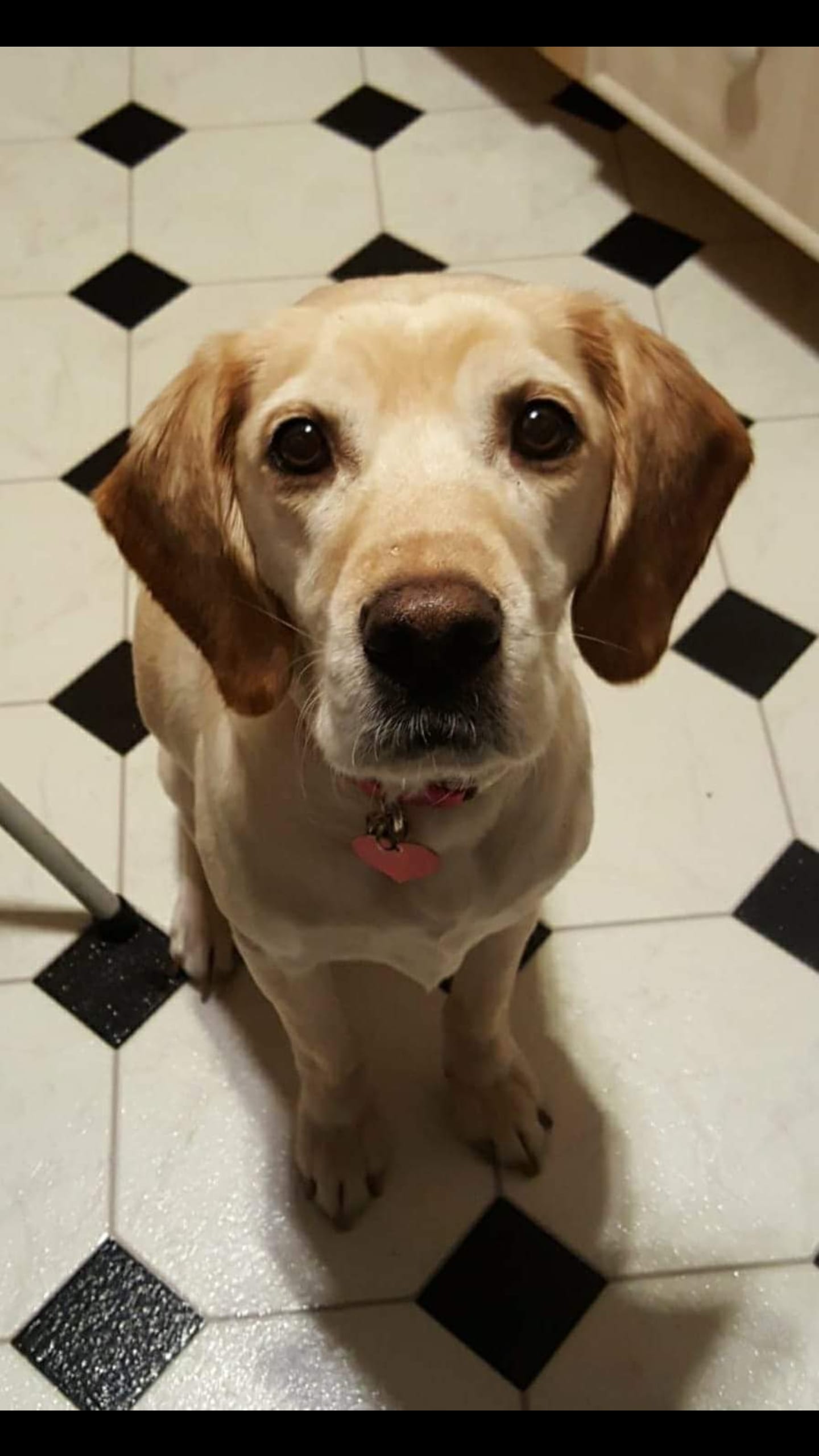 Daisy Mae