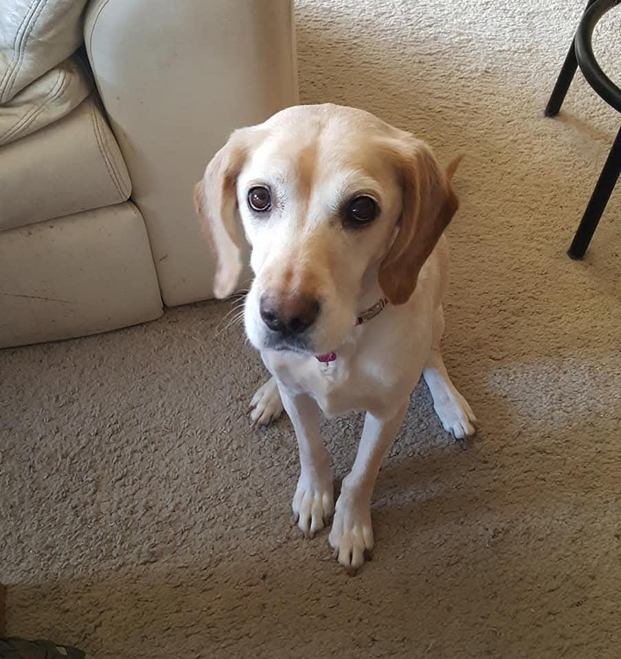 Daisy Mae