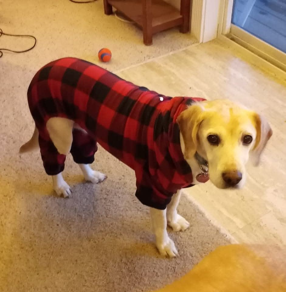 Daisy Mae