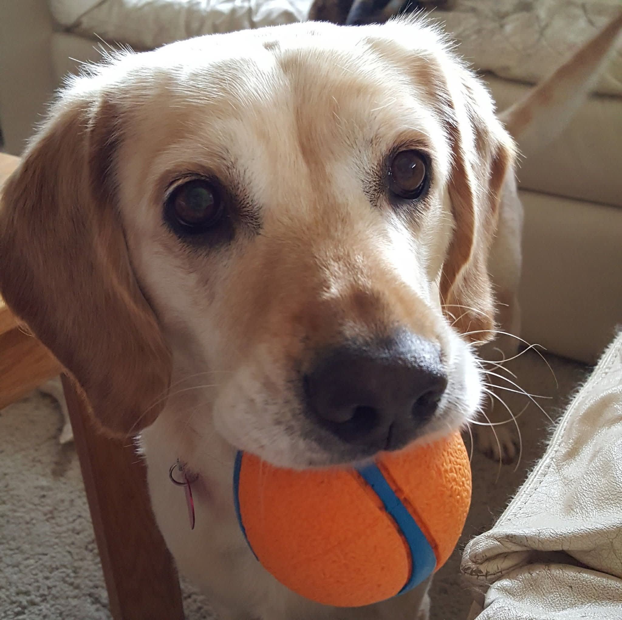 Daisy Mae