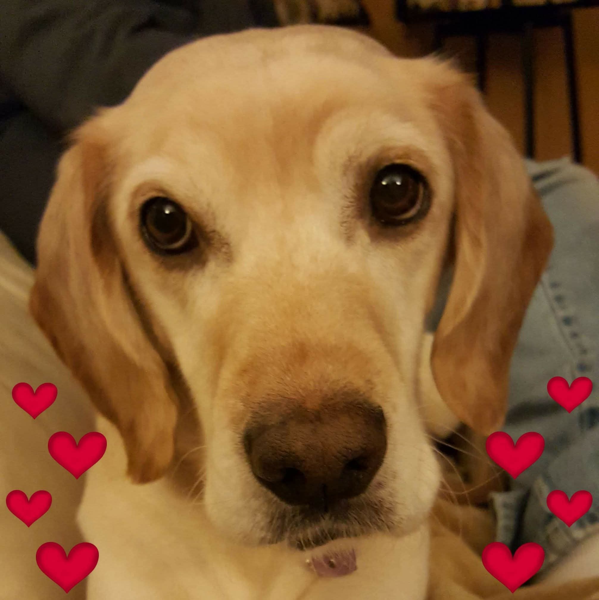 Daisy Mae