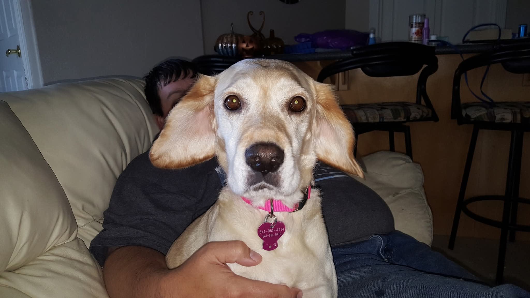 Daisy Mae