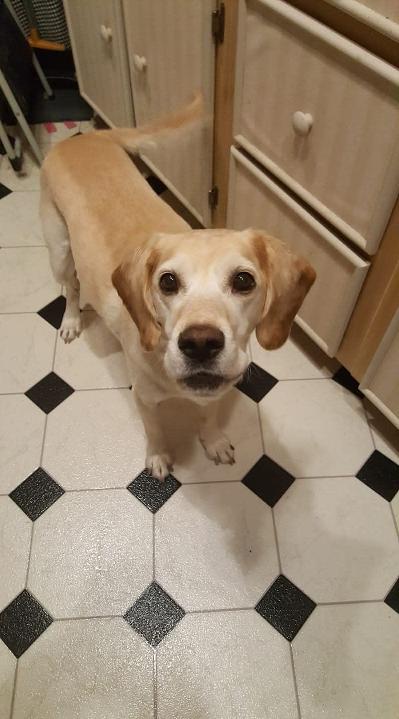 Daisy Mae