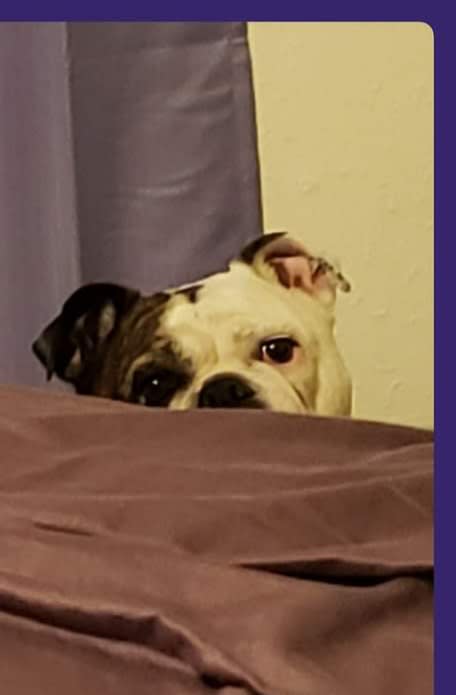 Fiona