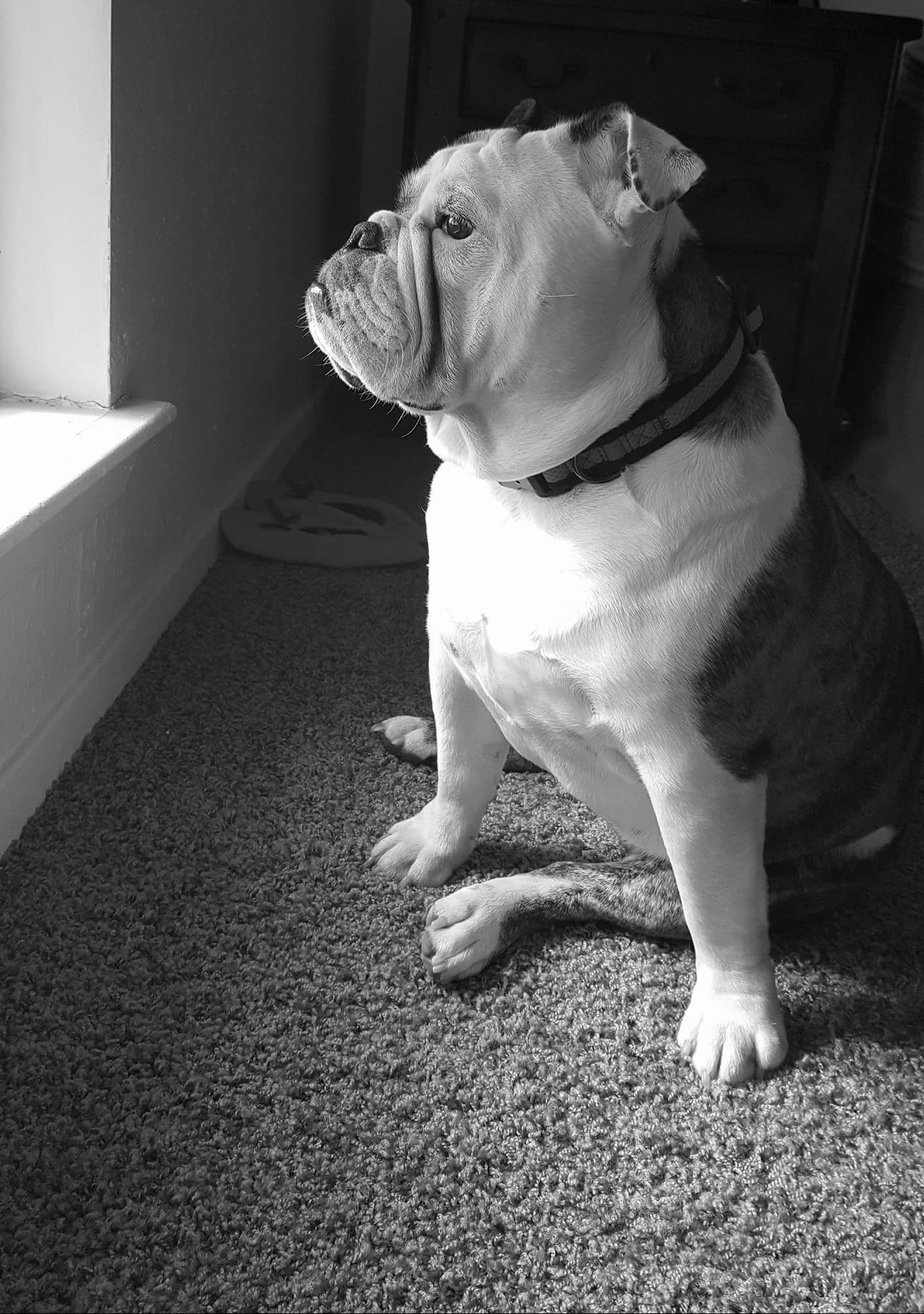 Fiona