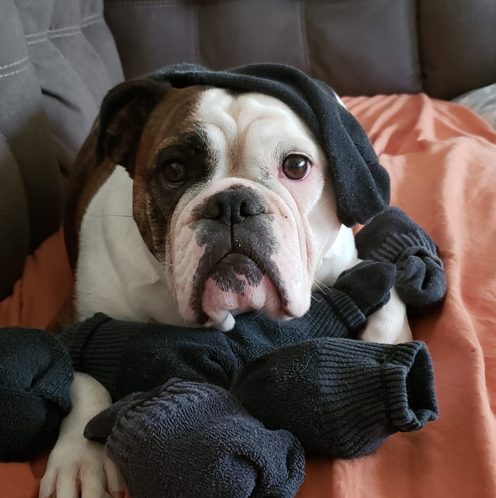 Fiona