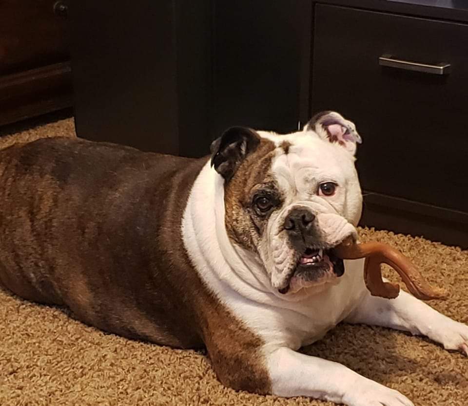 Fiona