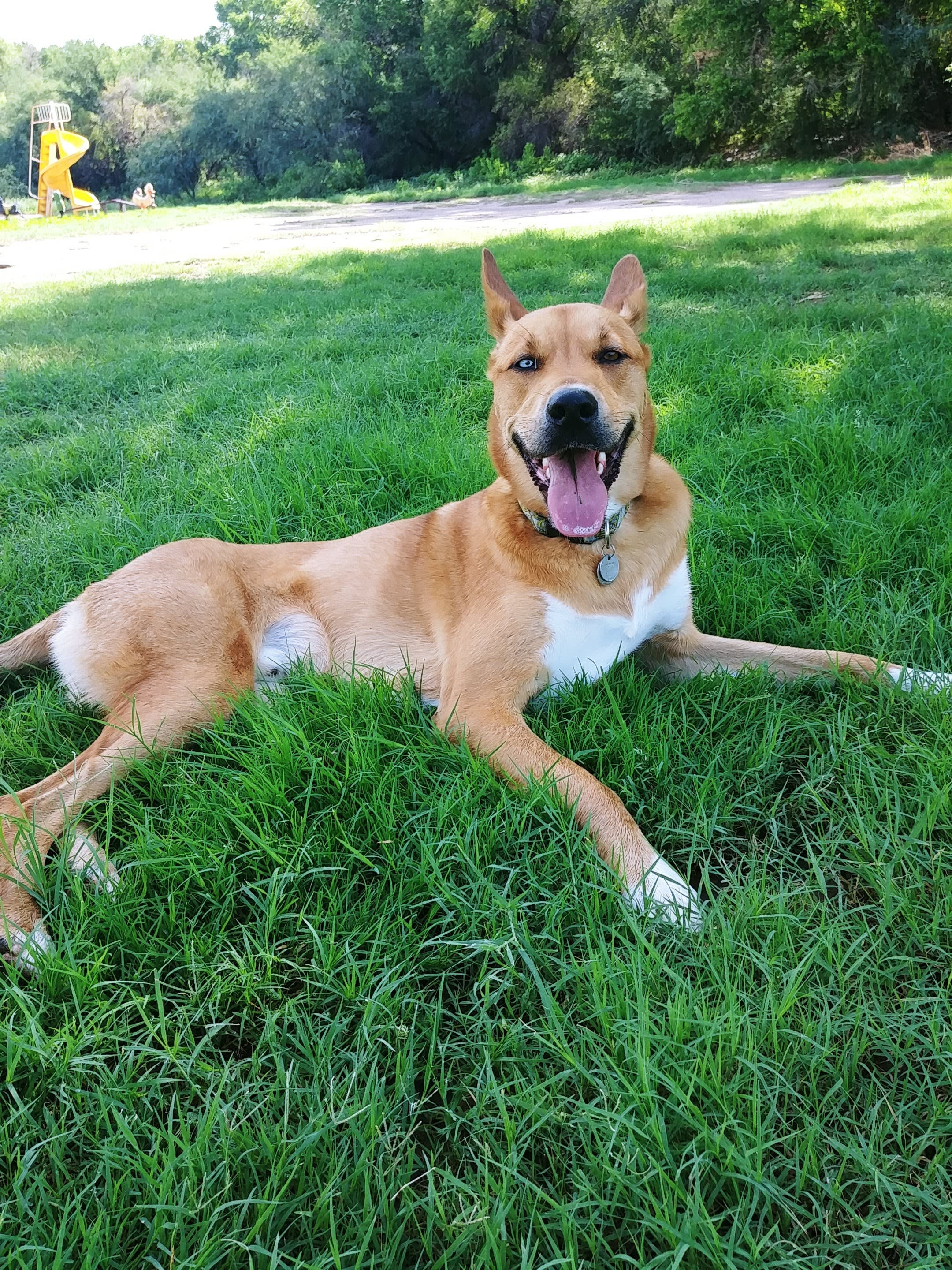 Walter