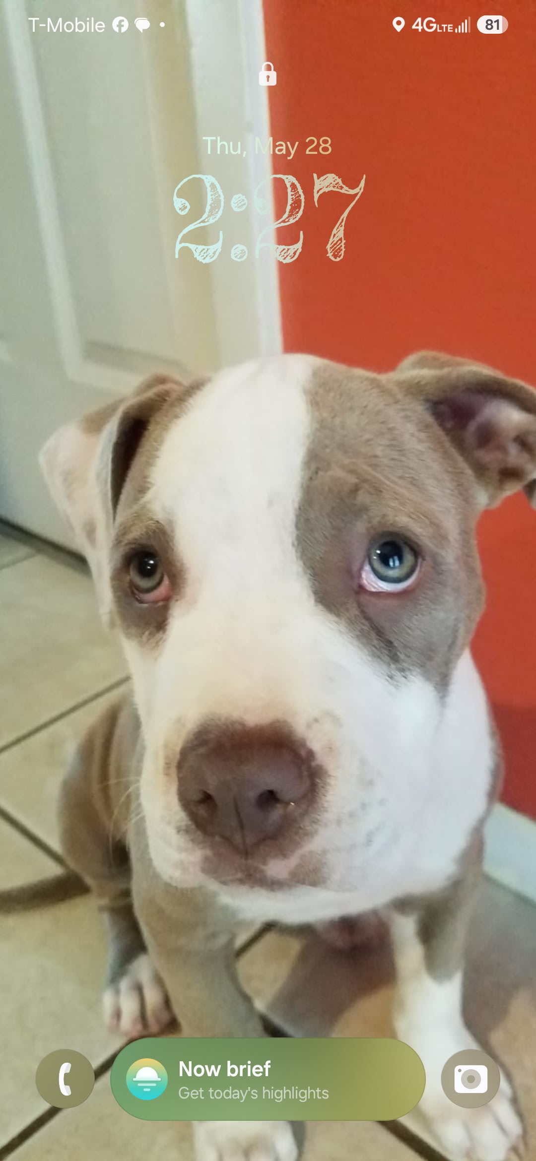 Bella
