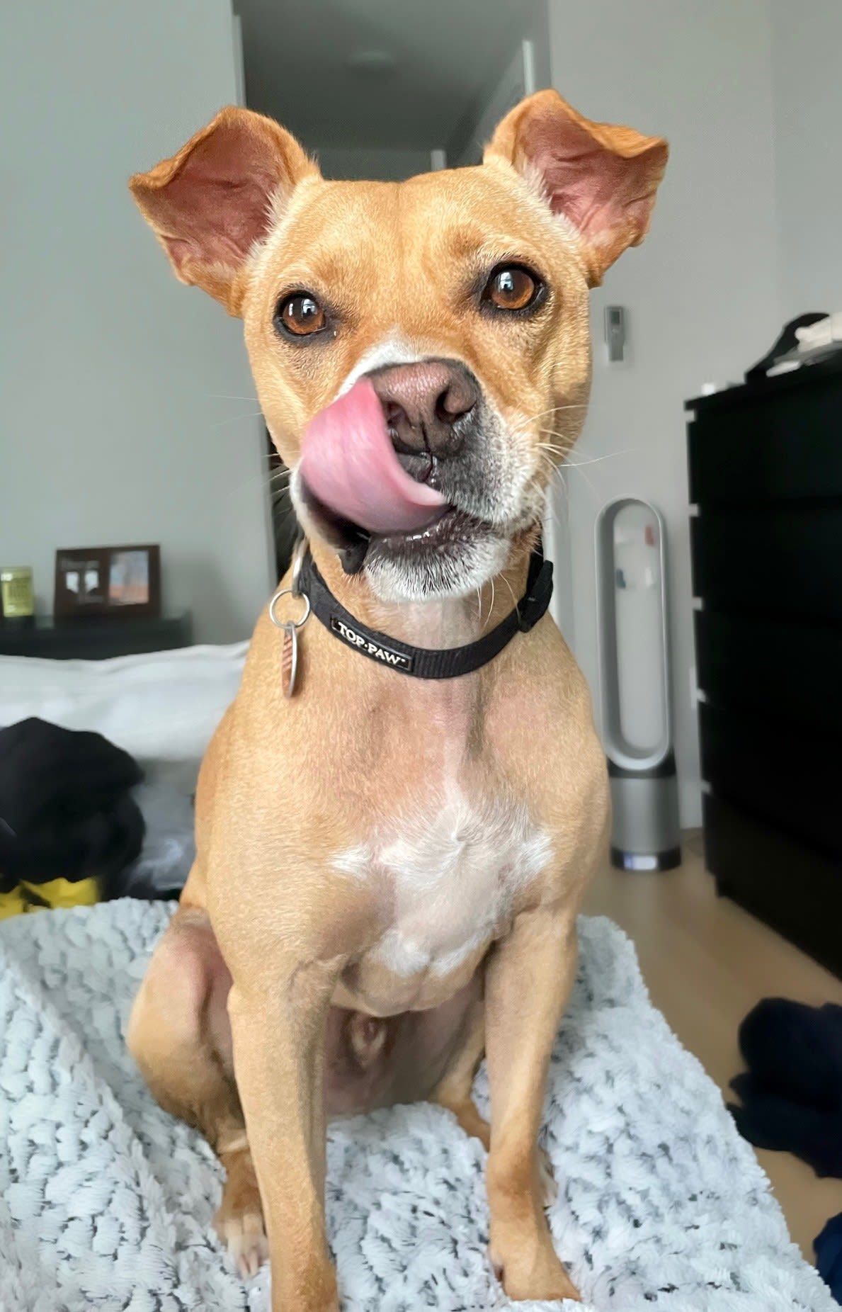 Butternut Butternut