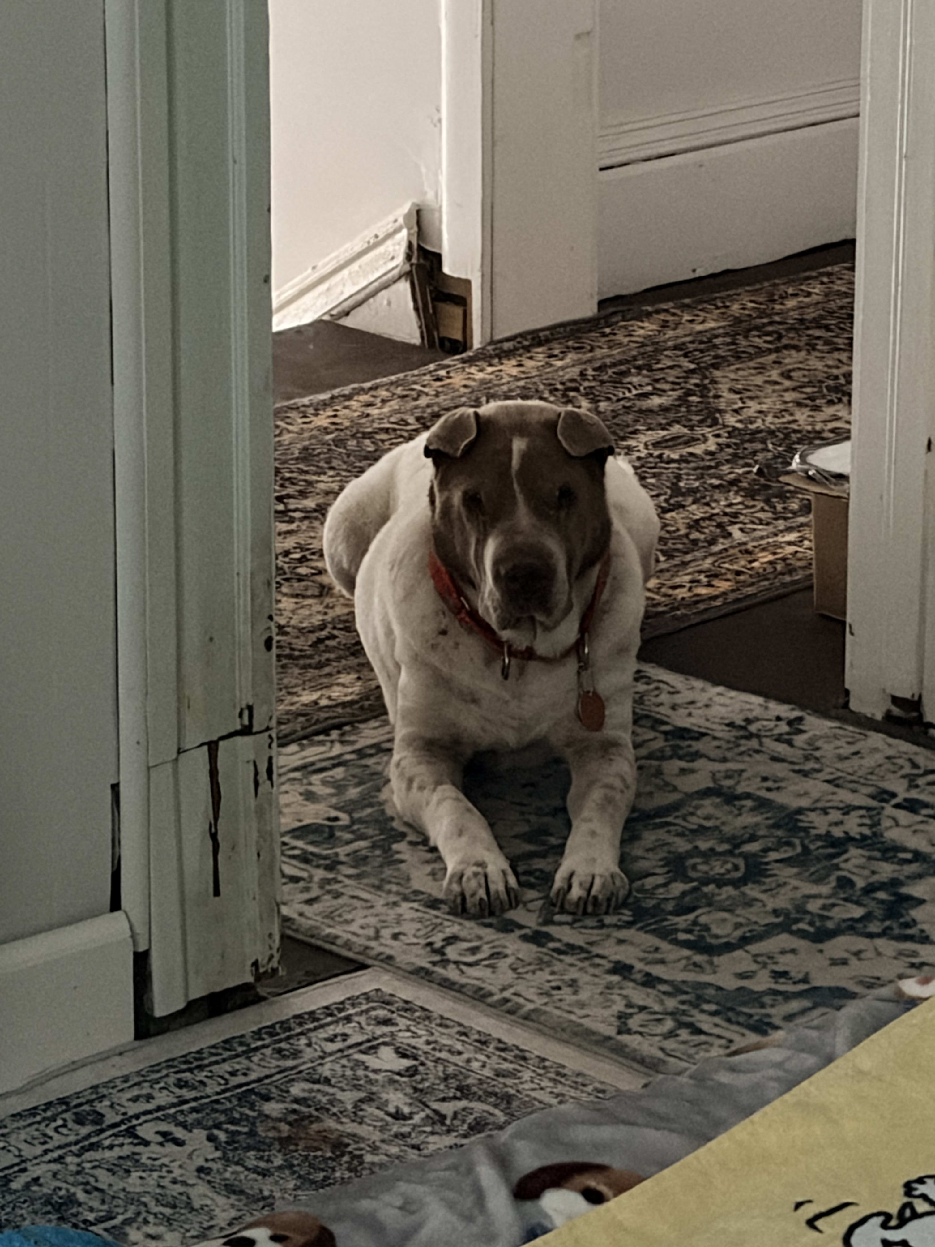 George