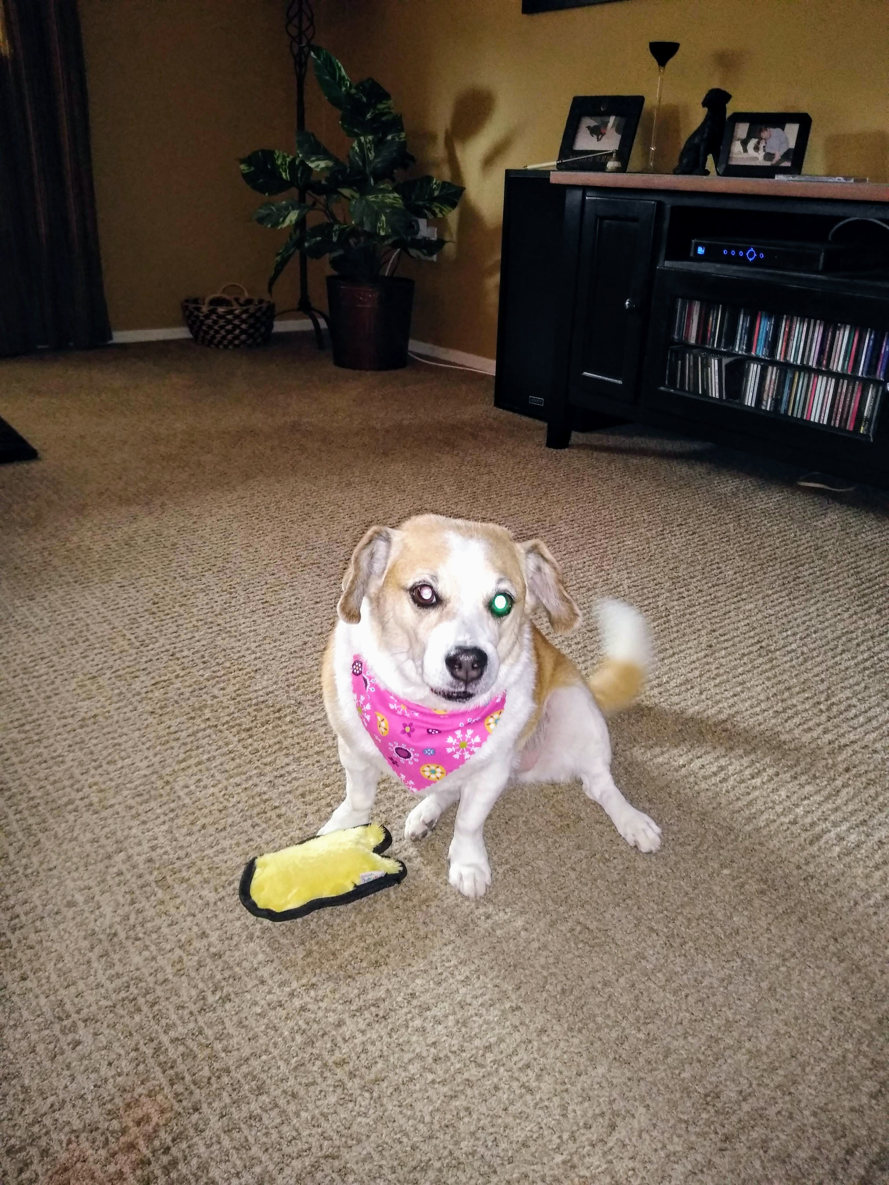 Maggie Maggie