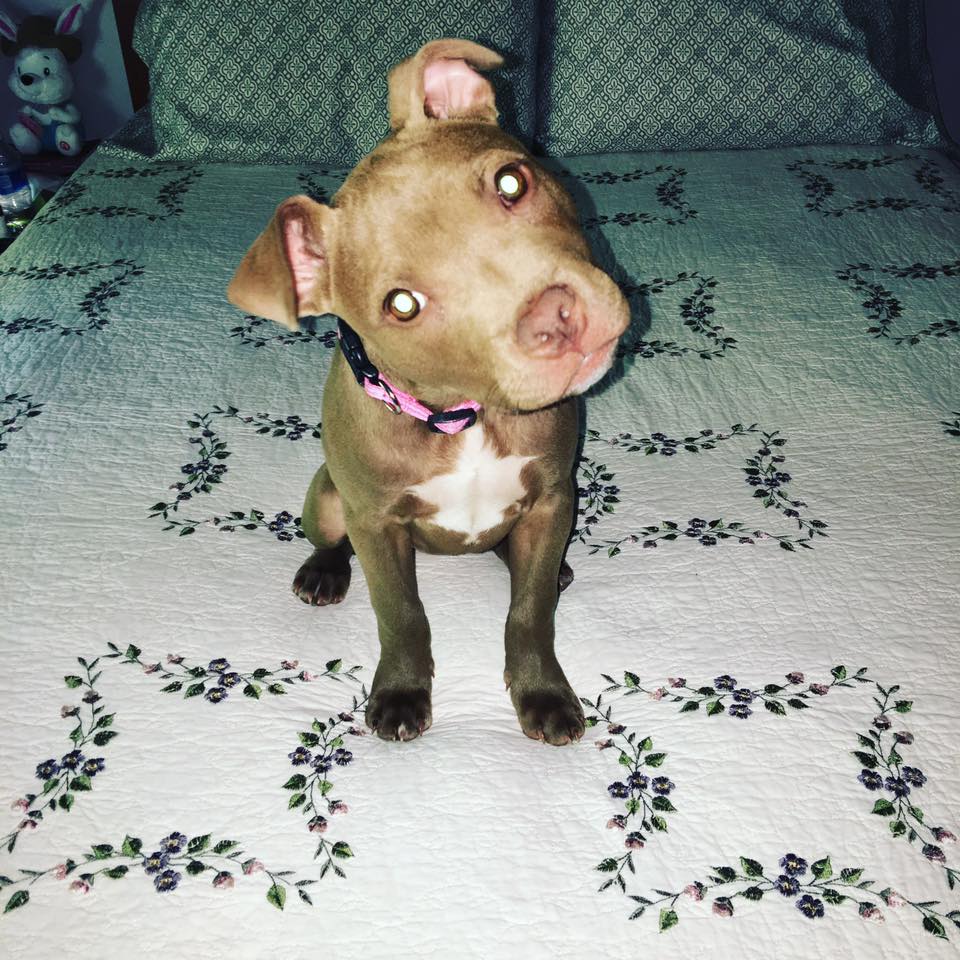 Mia
