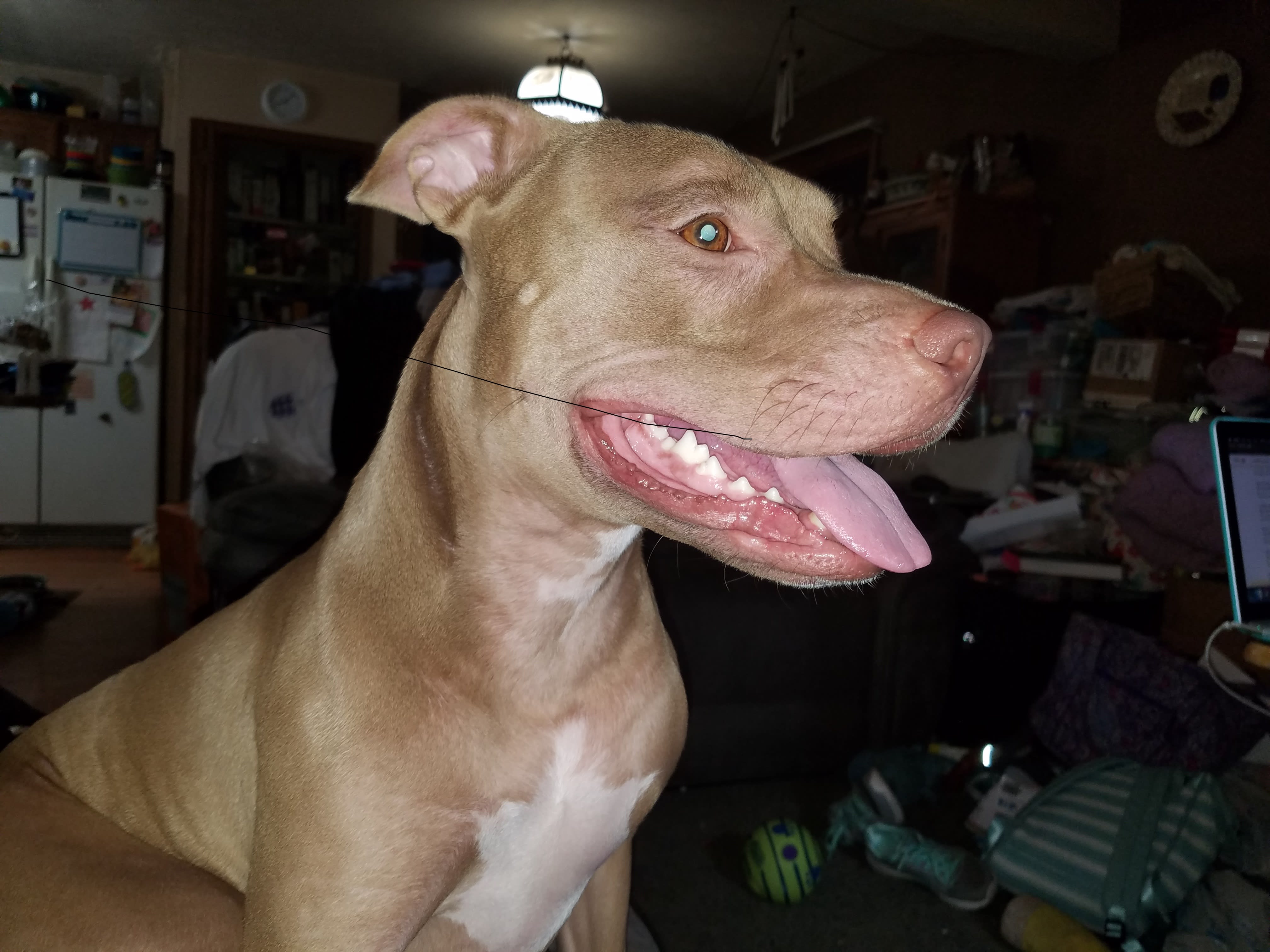 Mia
