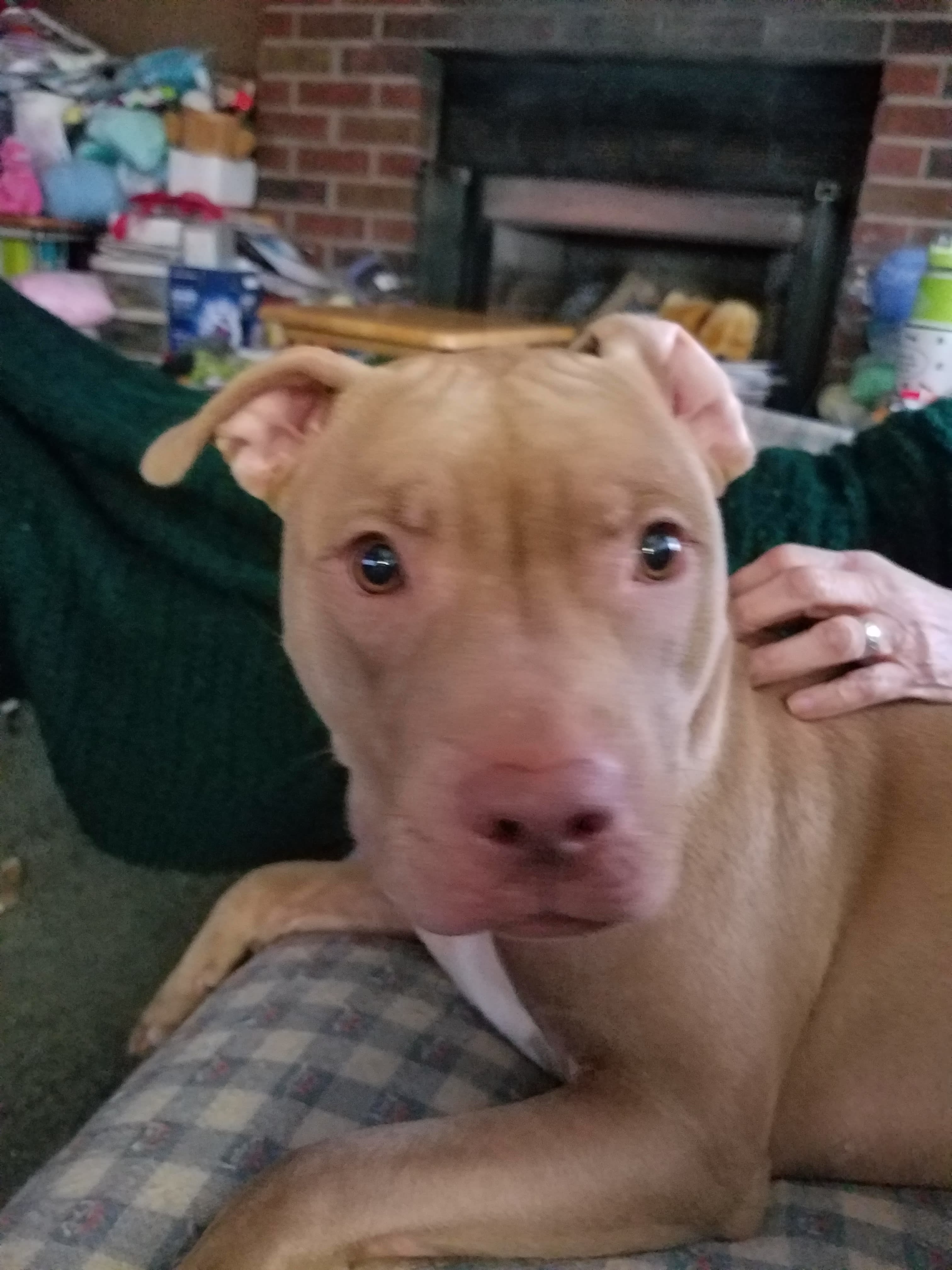 Mia