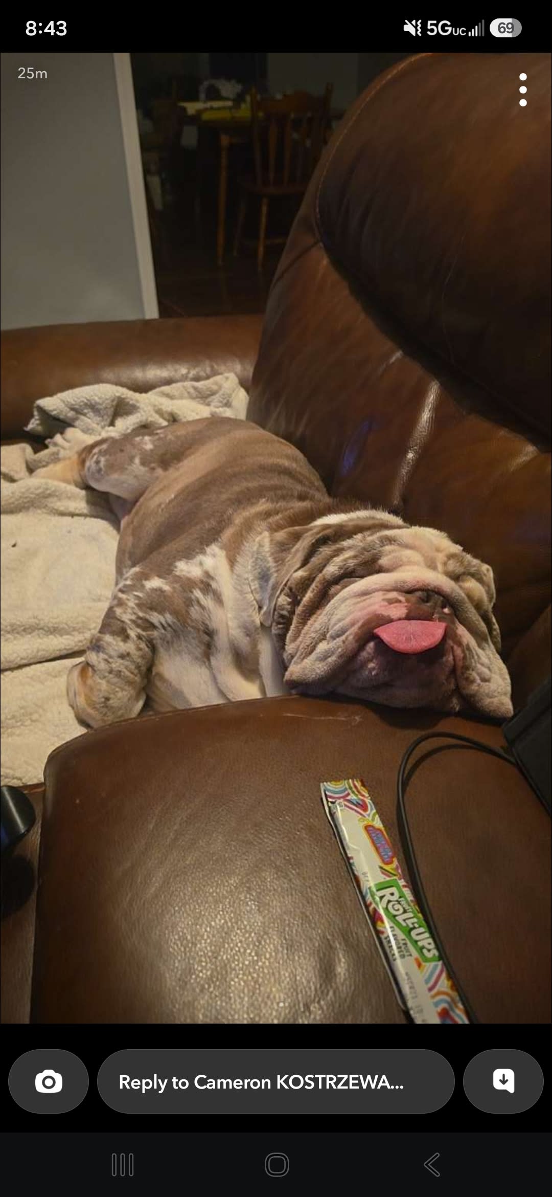 Chubbs Chubbs