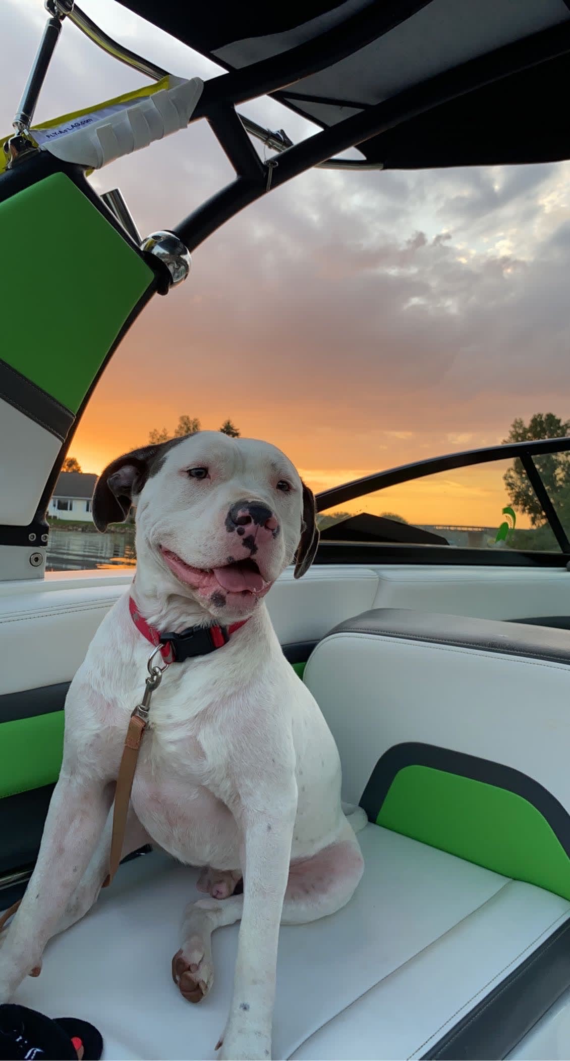Loki aka Loki Pokey - Loki aka Loki Pokey -