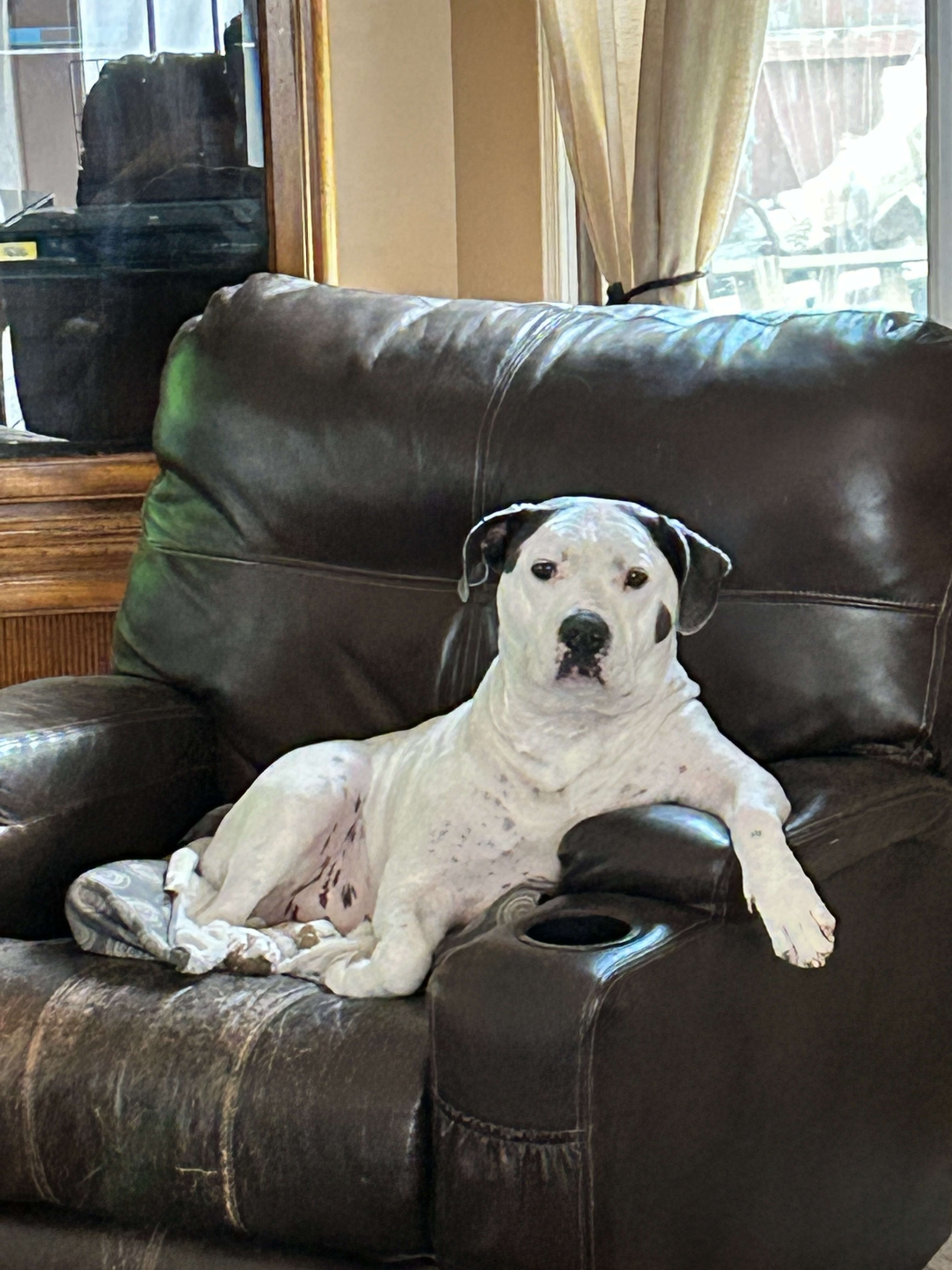 Loki aka Loki Pokey - Loki aka Loki Pokey -