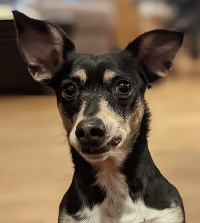 Kiki