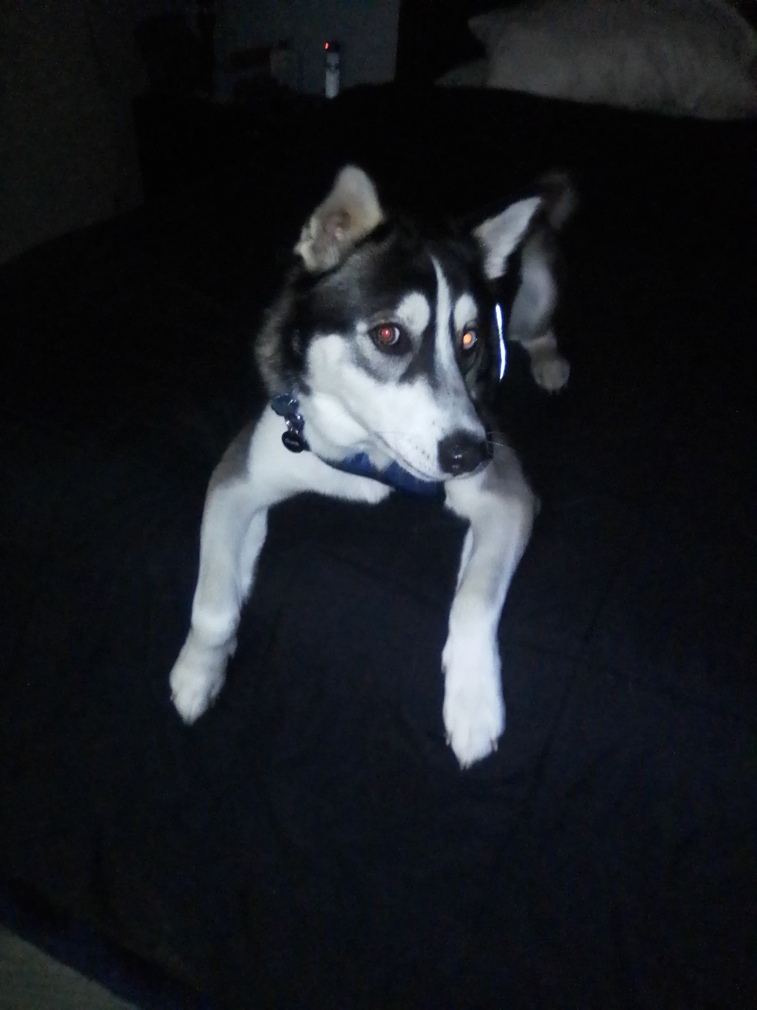 Bandit Bandit