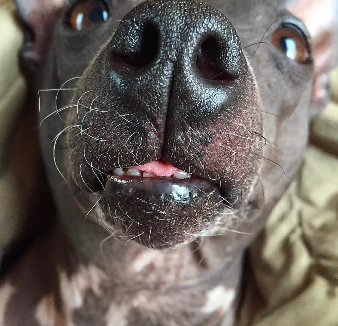 Zoey