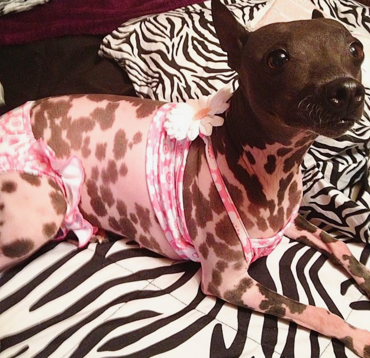 Zoey